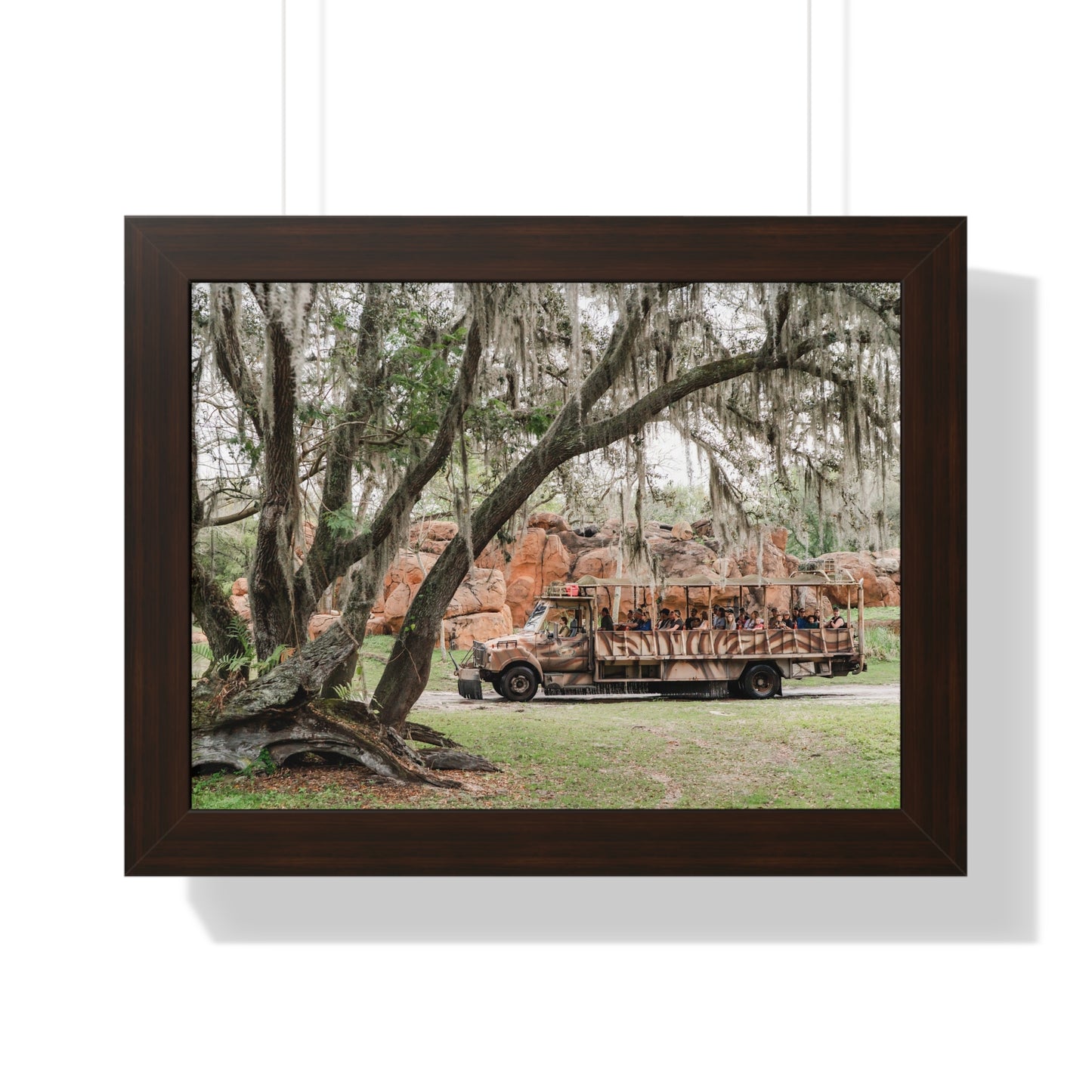 Animal Safari - A Framed Print