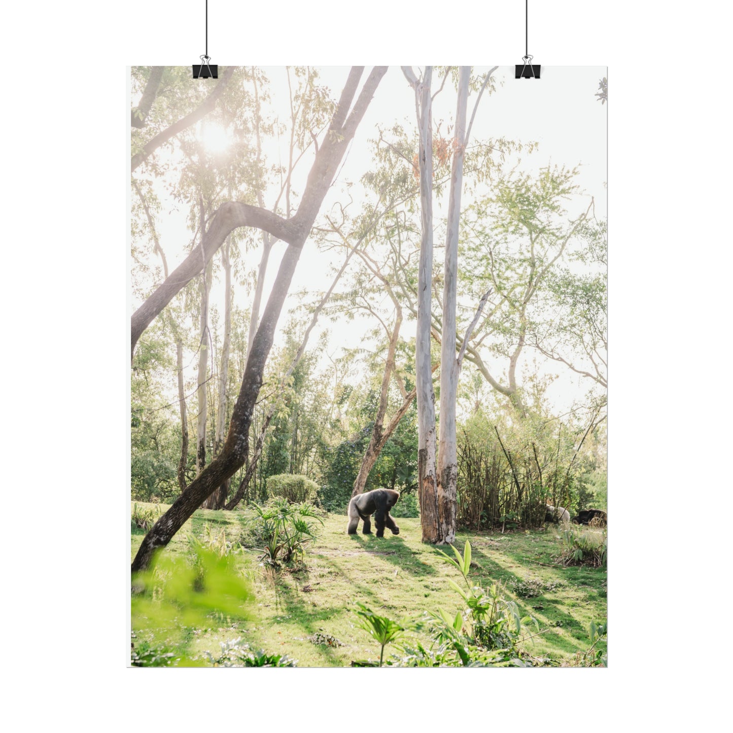 Magical Gorilla - Unframed Print