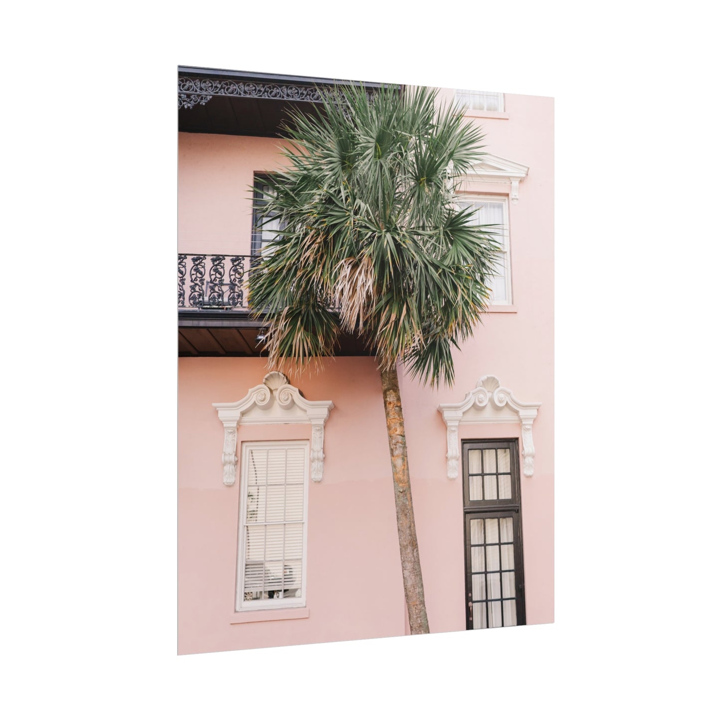 Charleston South Carolina Pink Palmetto - Unframed Print