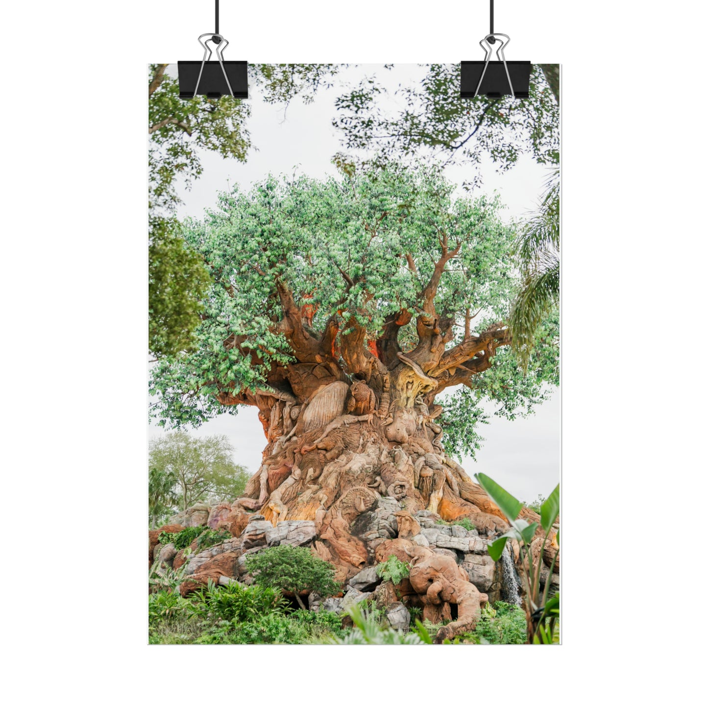 Tree of Life - Unframed Print