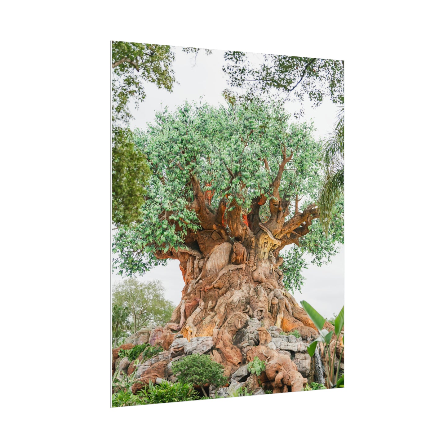 Tree of Life - Unframed Print