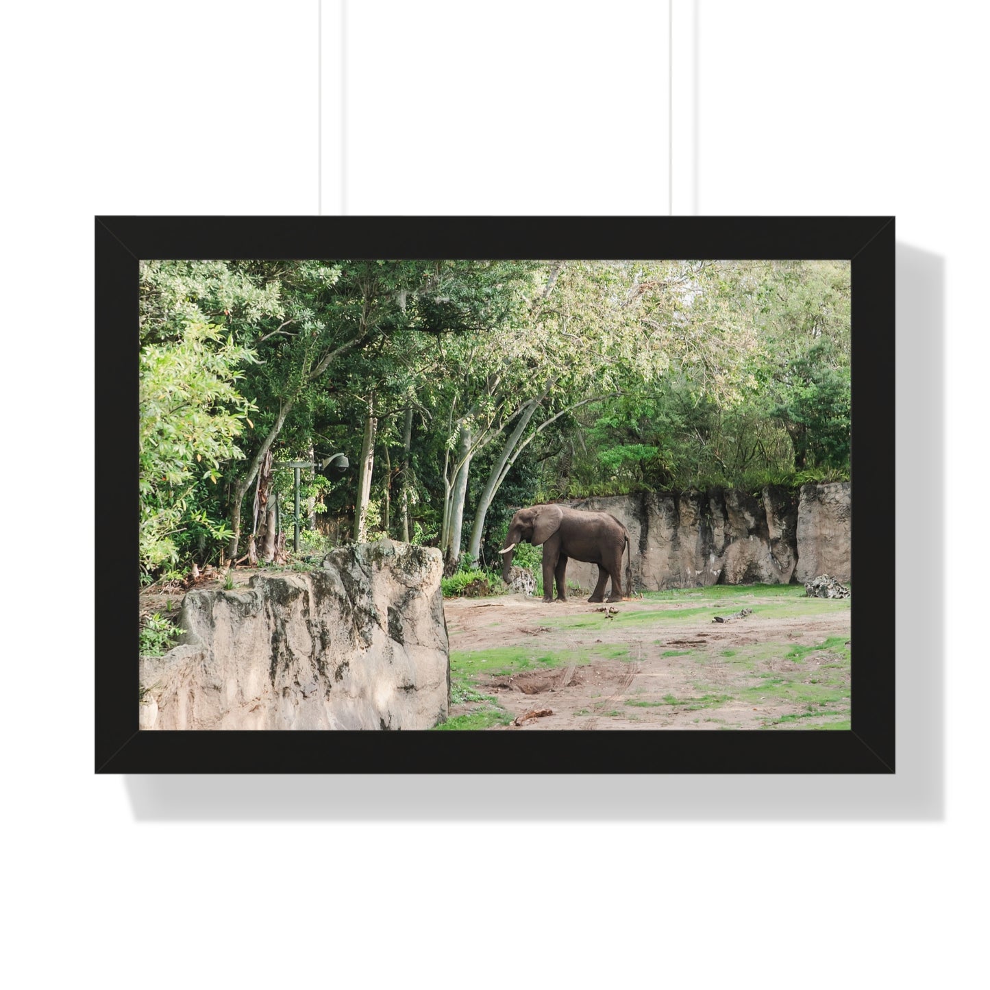 Kingdom Elephant - Framed Print