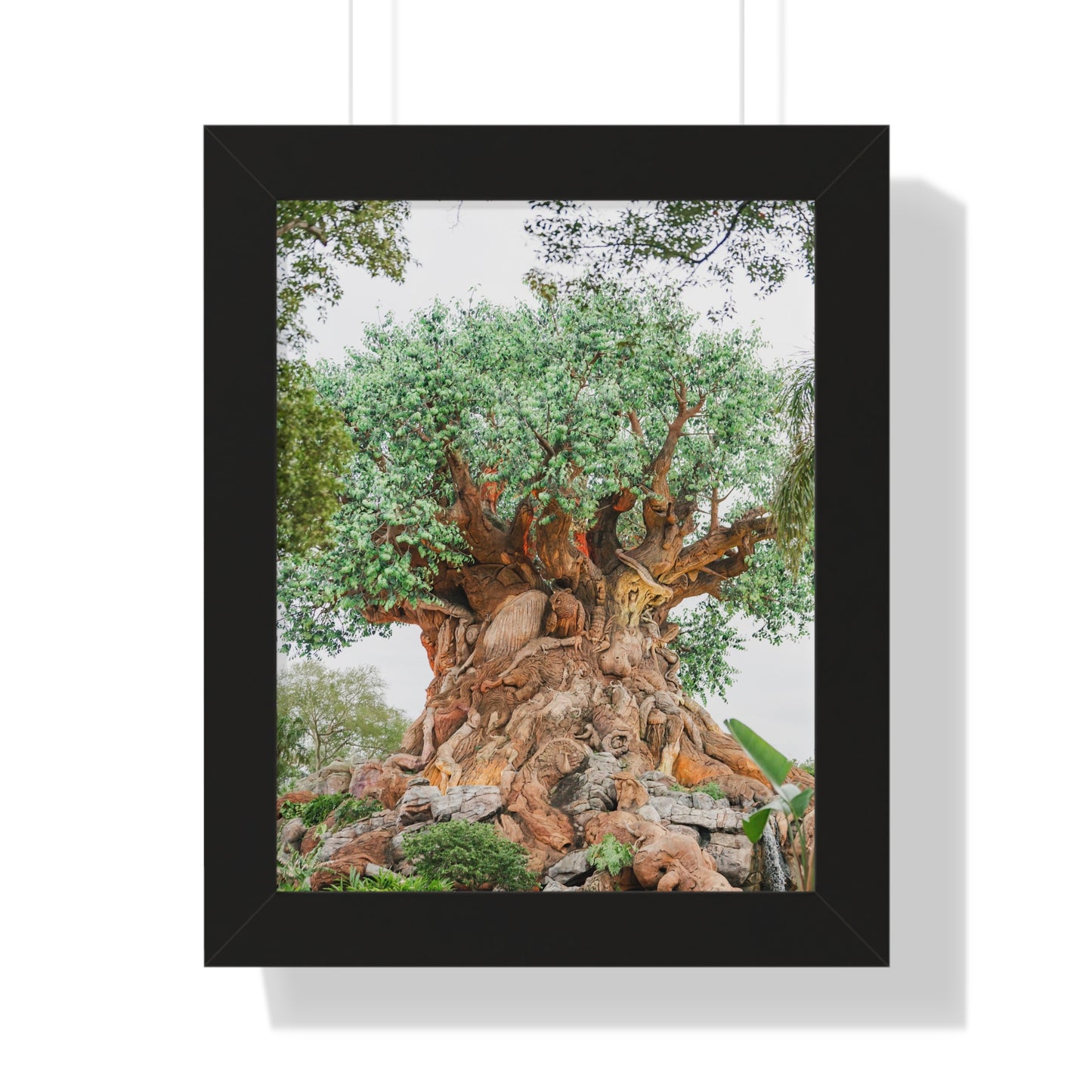 Tree of Life - Framed Print