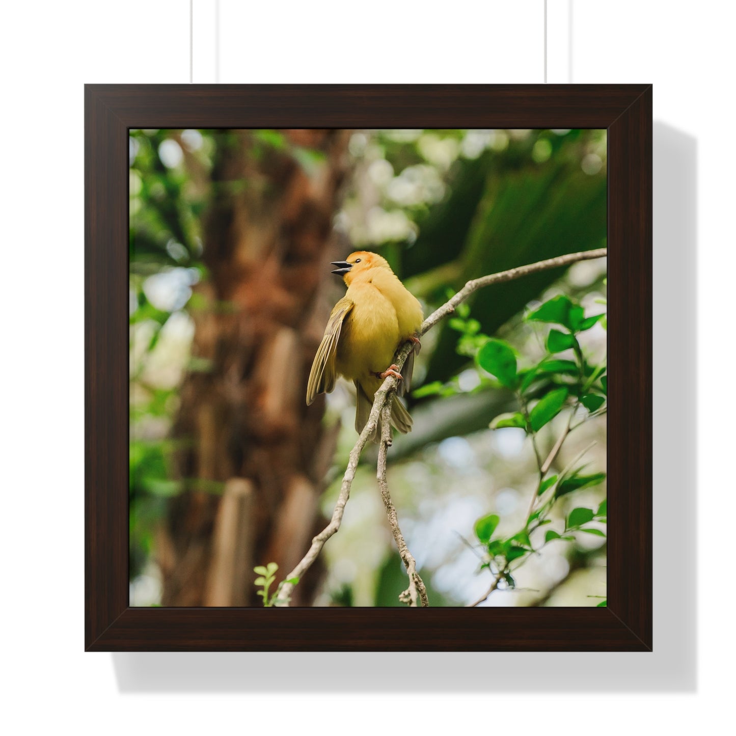 Yellow Bird of Animal Realm - Framed Print