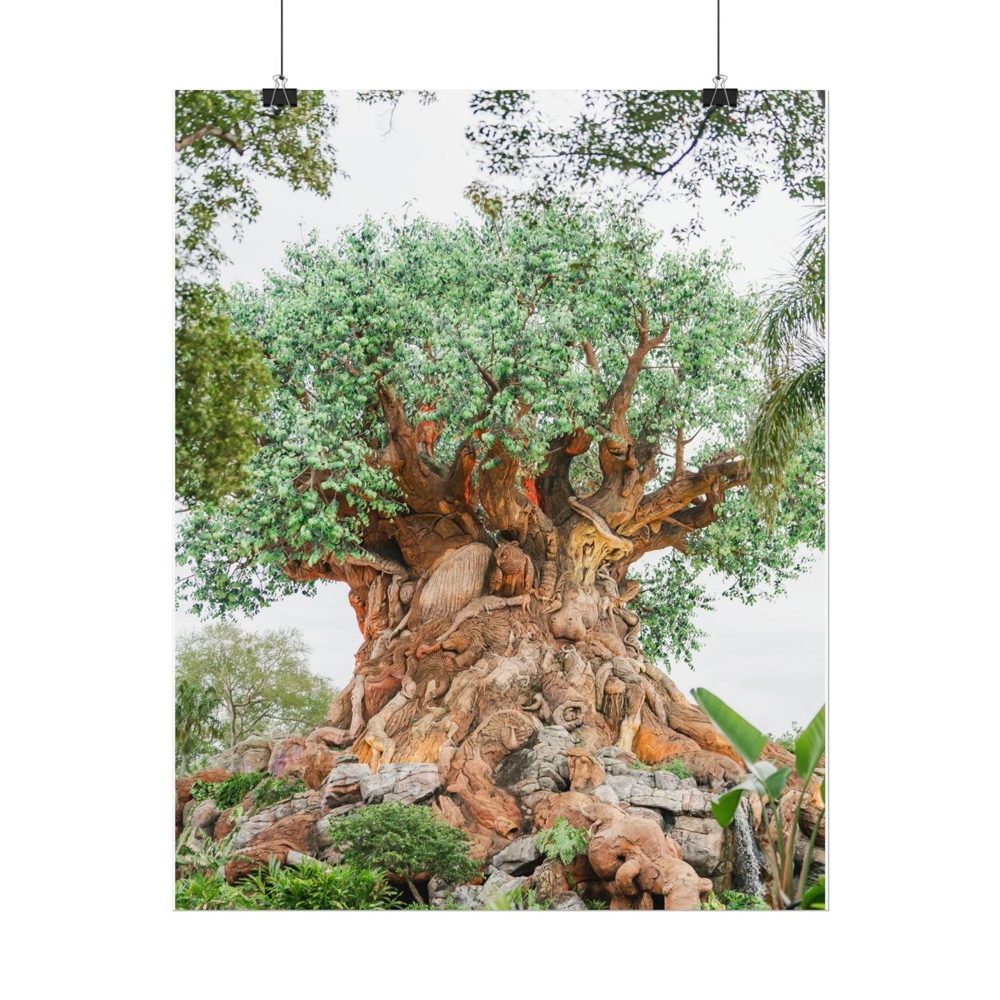 Tree of Life - Unframed Print