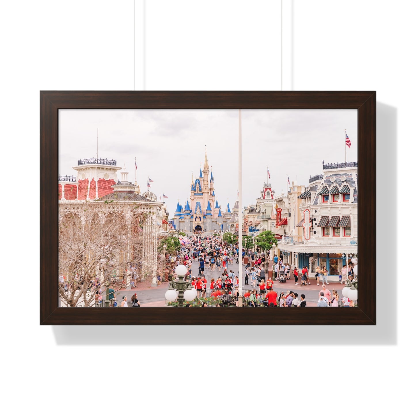 A Realistic Kingdom - Framed Print