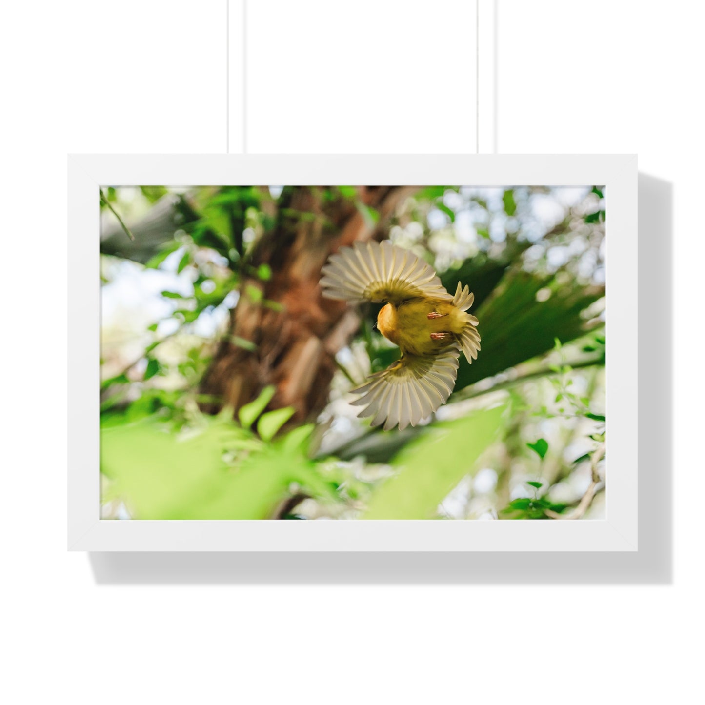 Flight in the Animal Realm - Framed Print