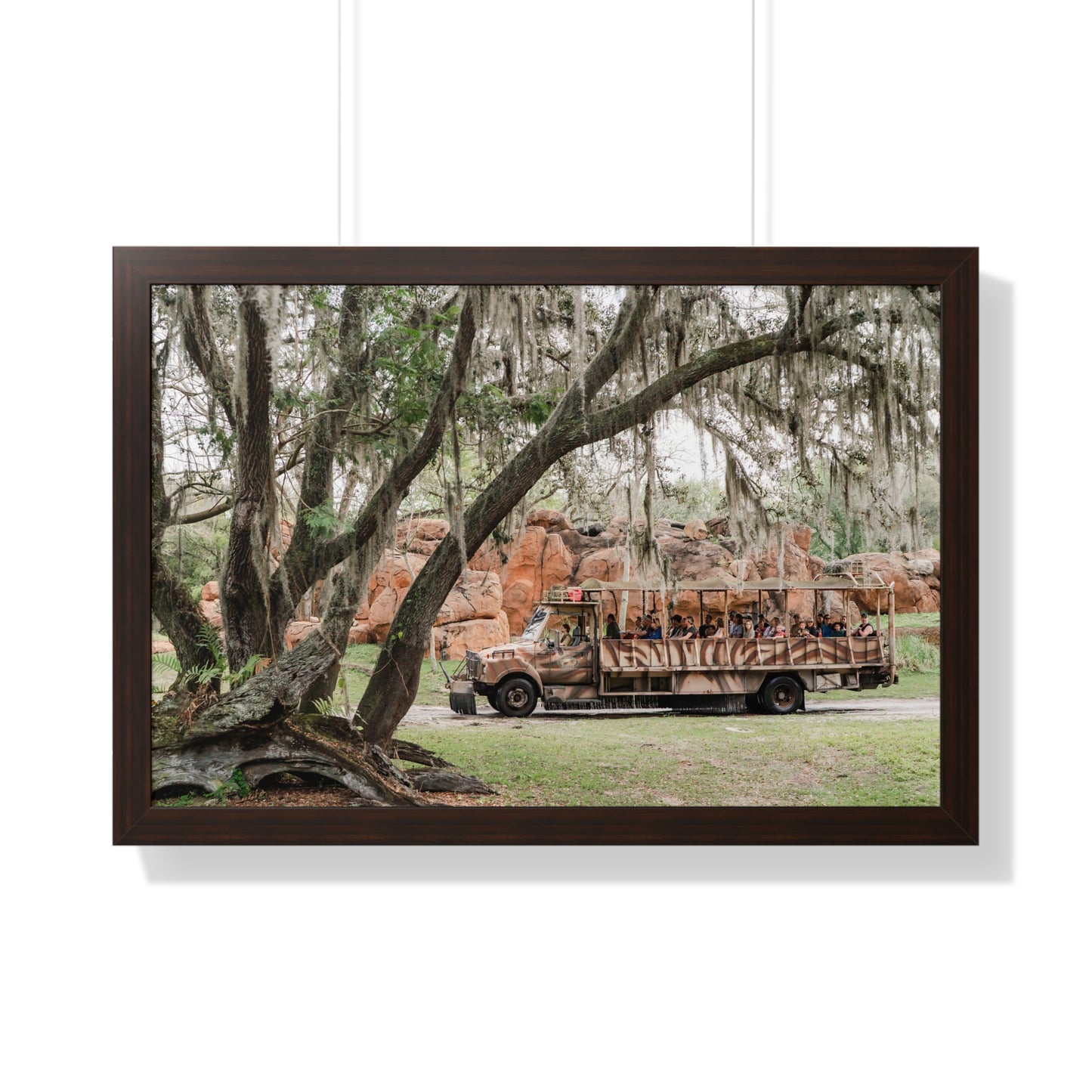 Animal Safari - A Framed Print