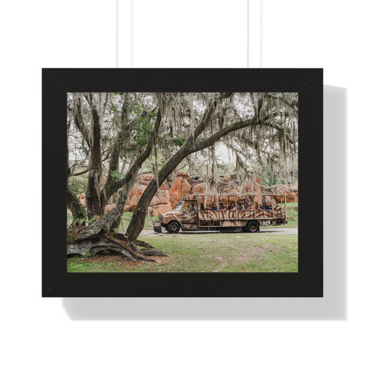 Animal Safari - A Framed Print