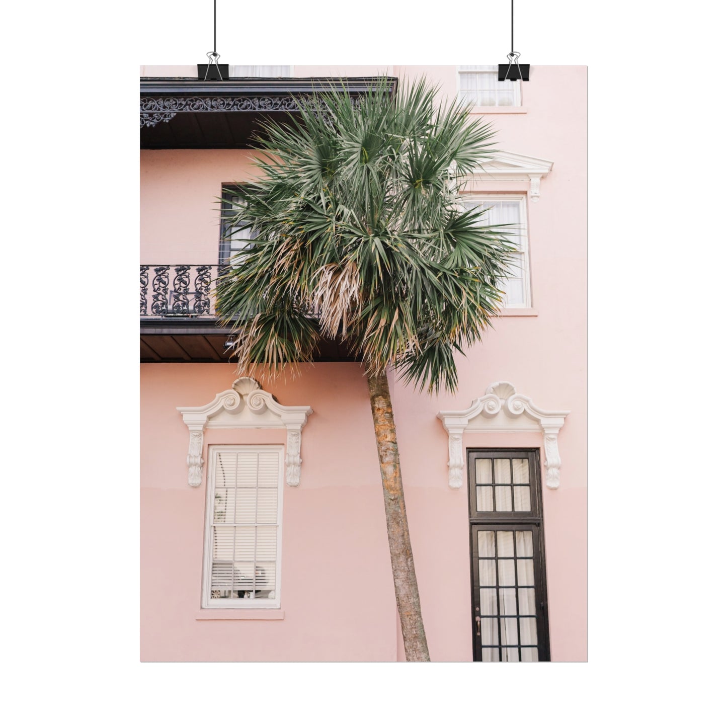 Charleston South Carolina Pink Palmetto - Unframed Print