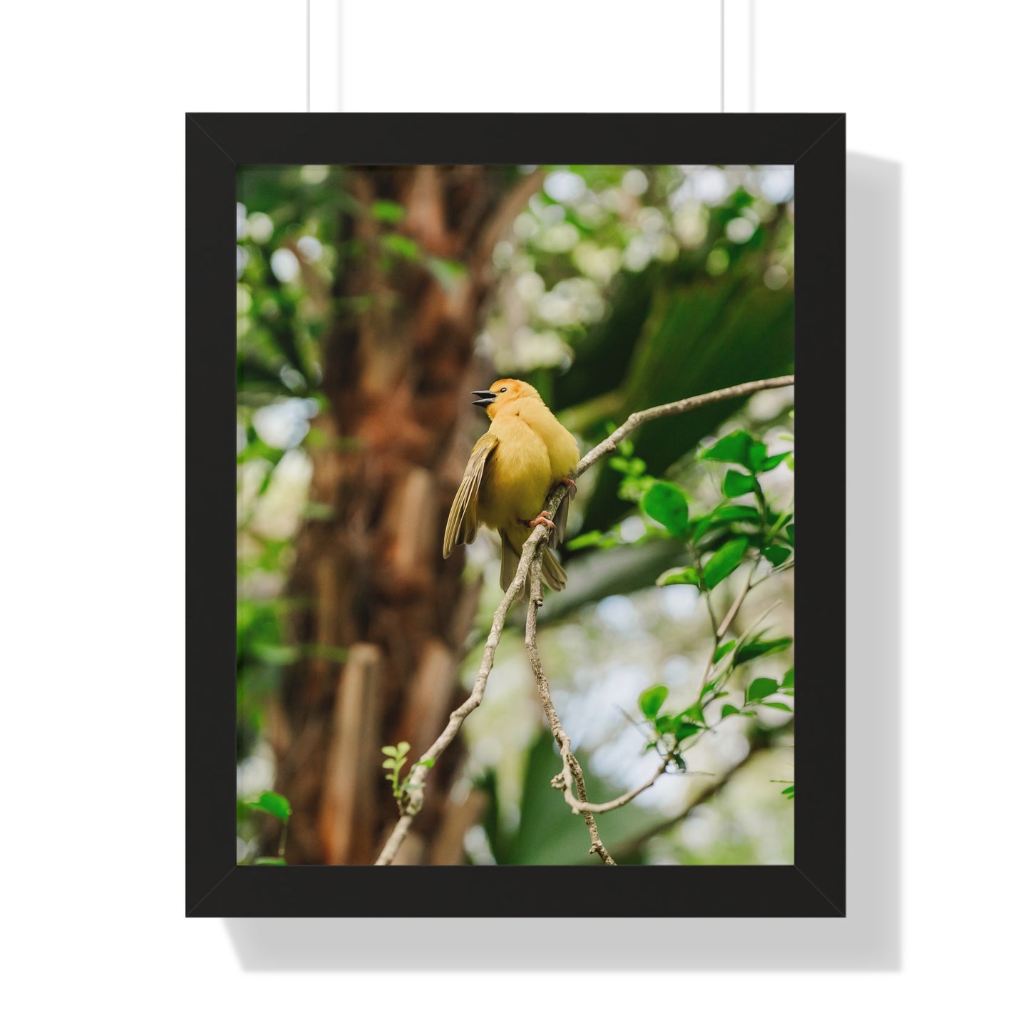 Yellow Bird of Animal Realm - Framed Print