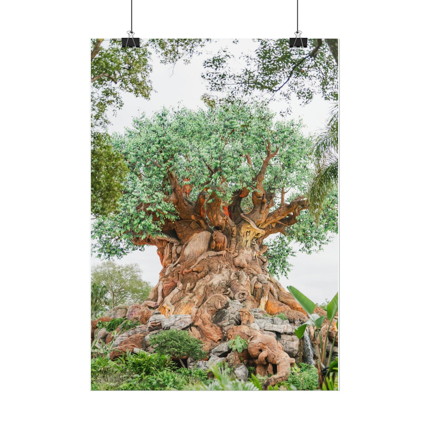 Tree of Life - Unframed Print