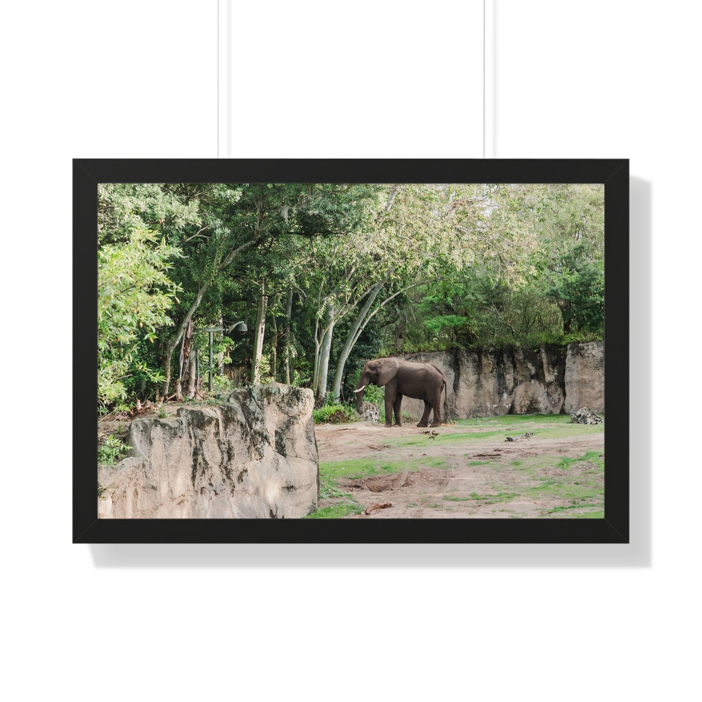 Kingdom Elephant - Framed Print