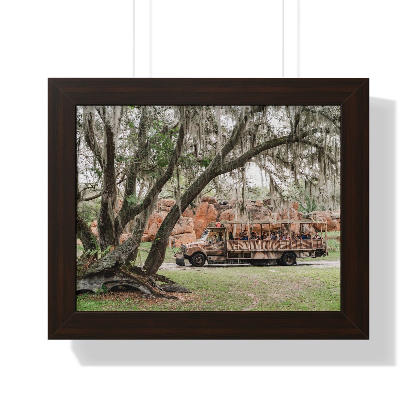 Animal Safari - A Framed Print