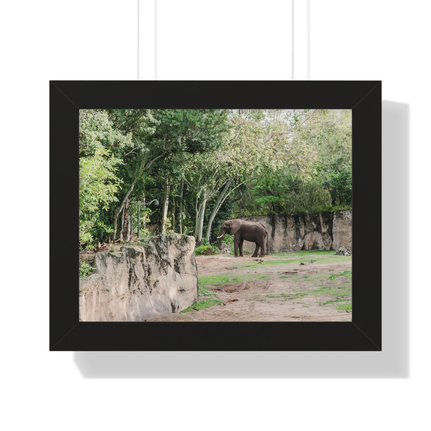 Kingdom Elephant - Framed Print