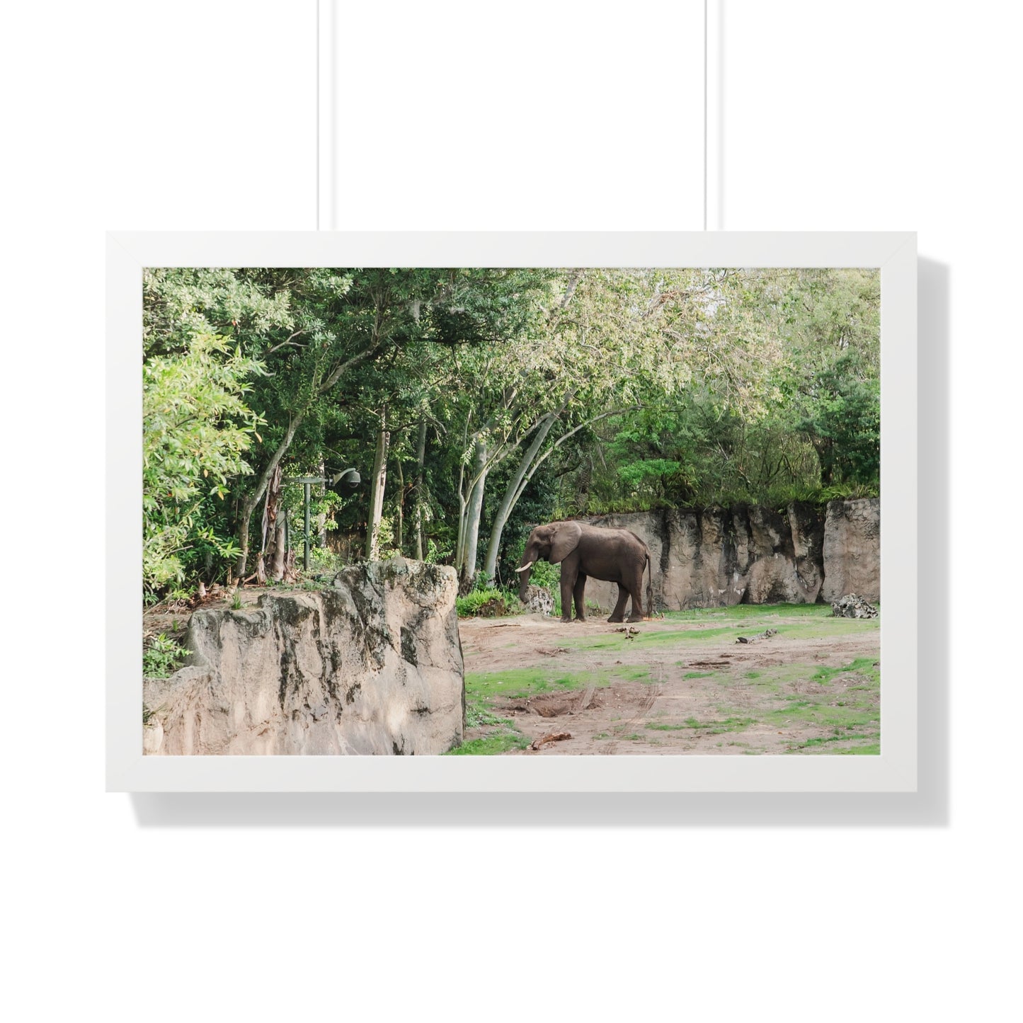 Kingdom Elephant - Framed Print