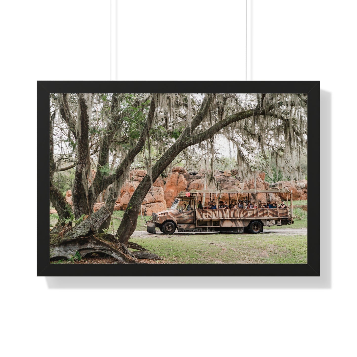 Animal Safari - A Framed Print