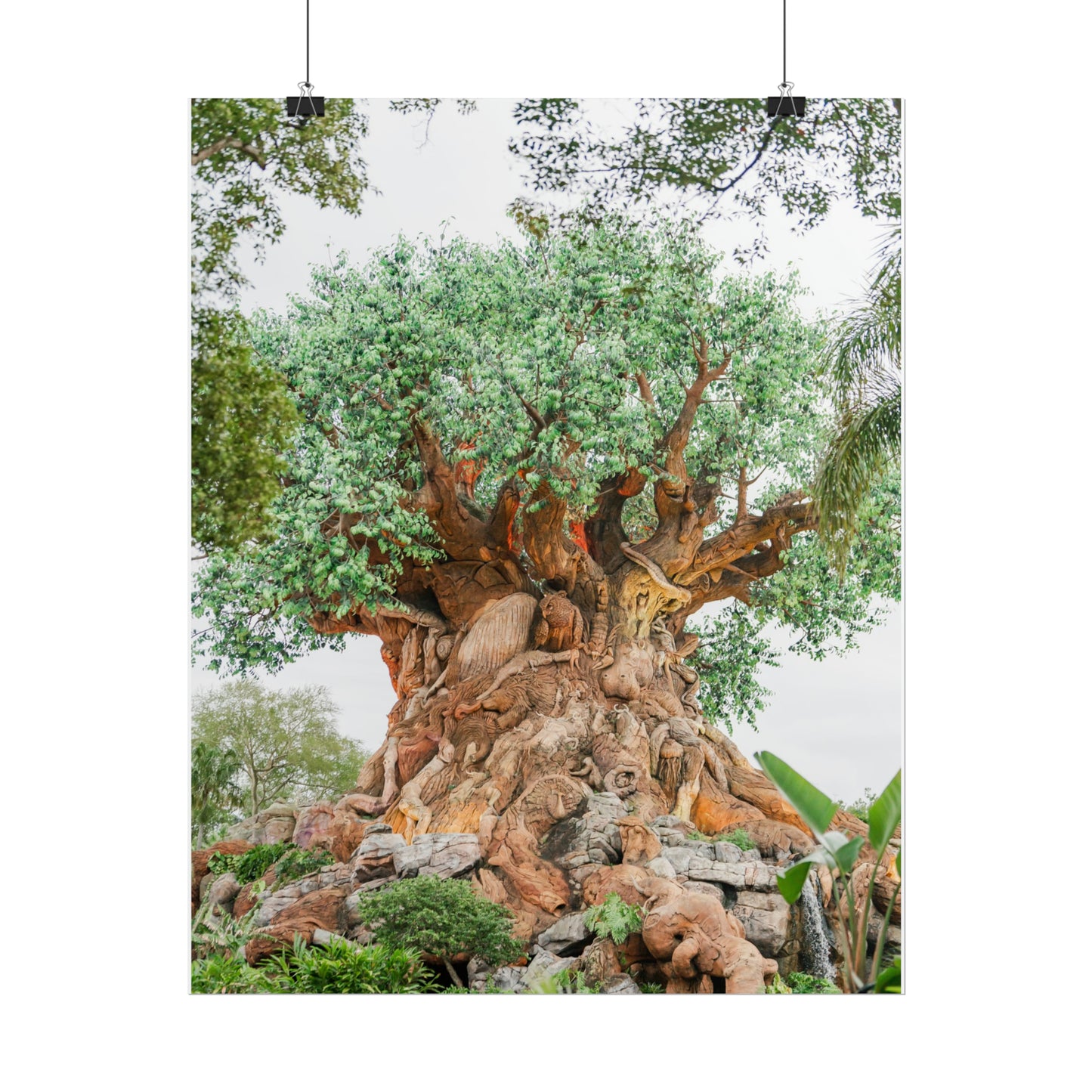 Tree of Life - Unframed Print