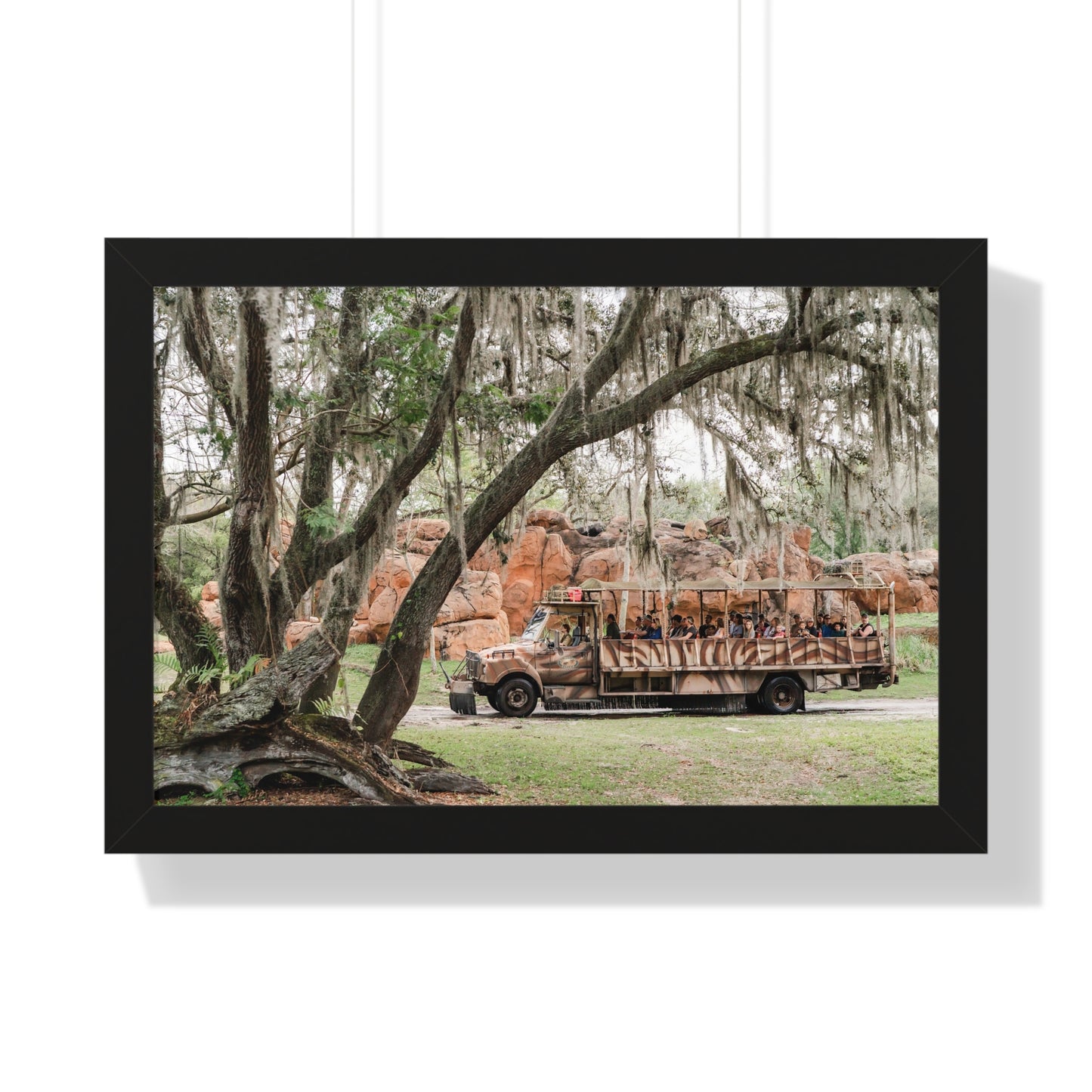 Animal Safari - A Framed Print