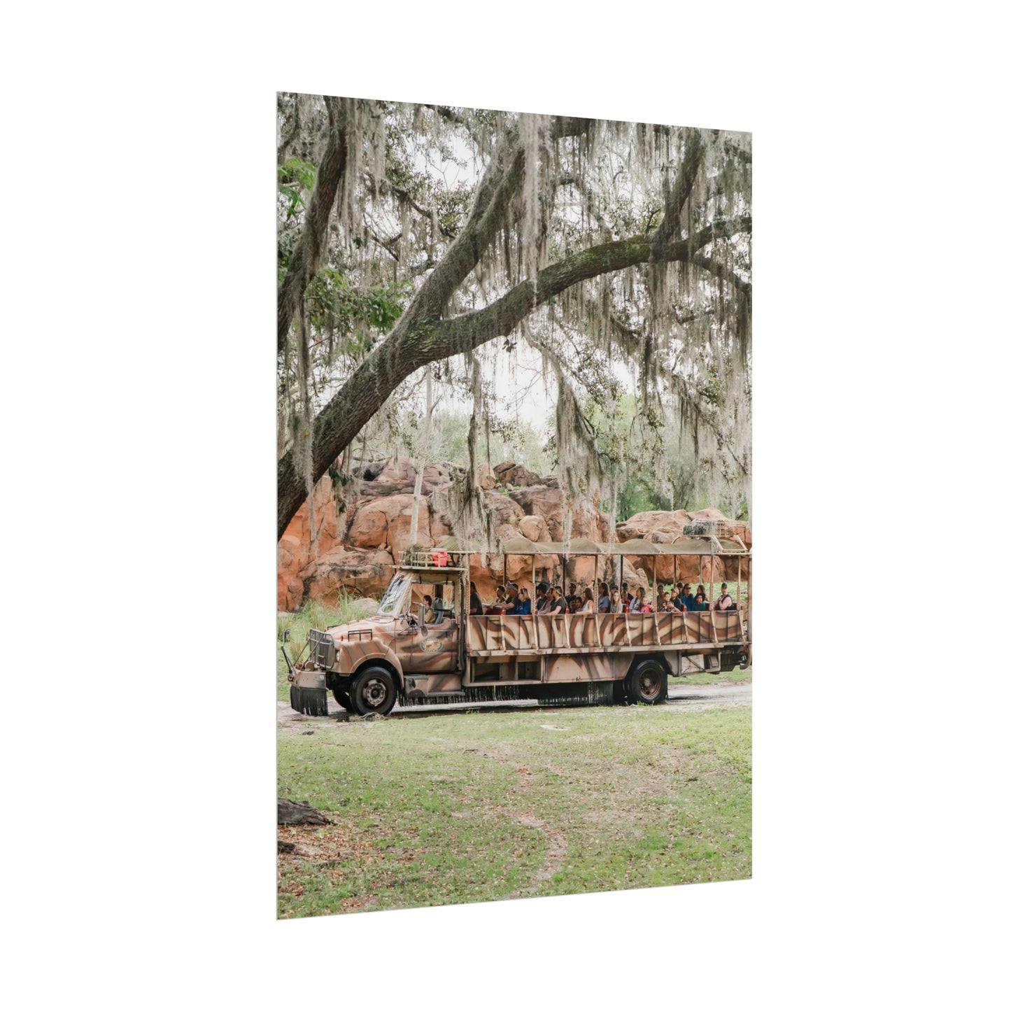 A Safari Truck - Unframed Print