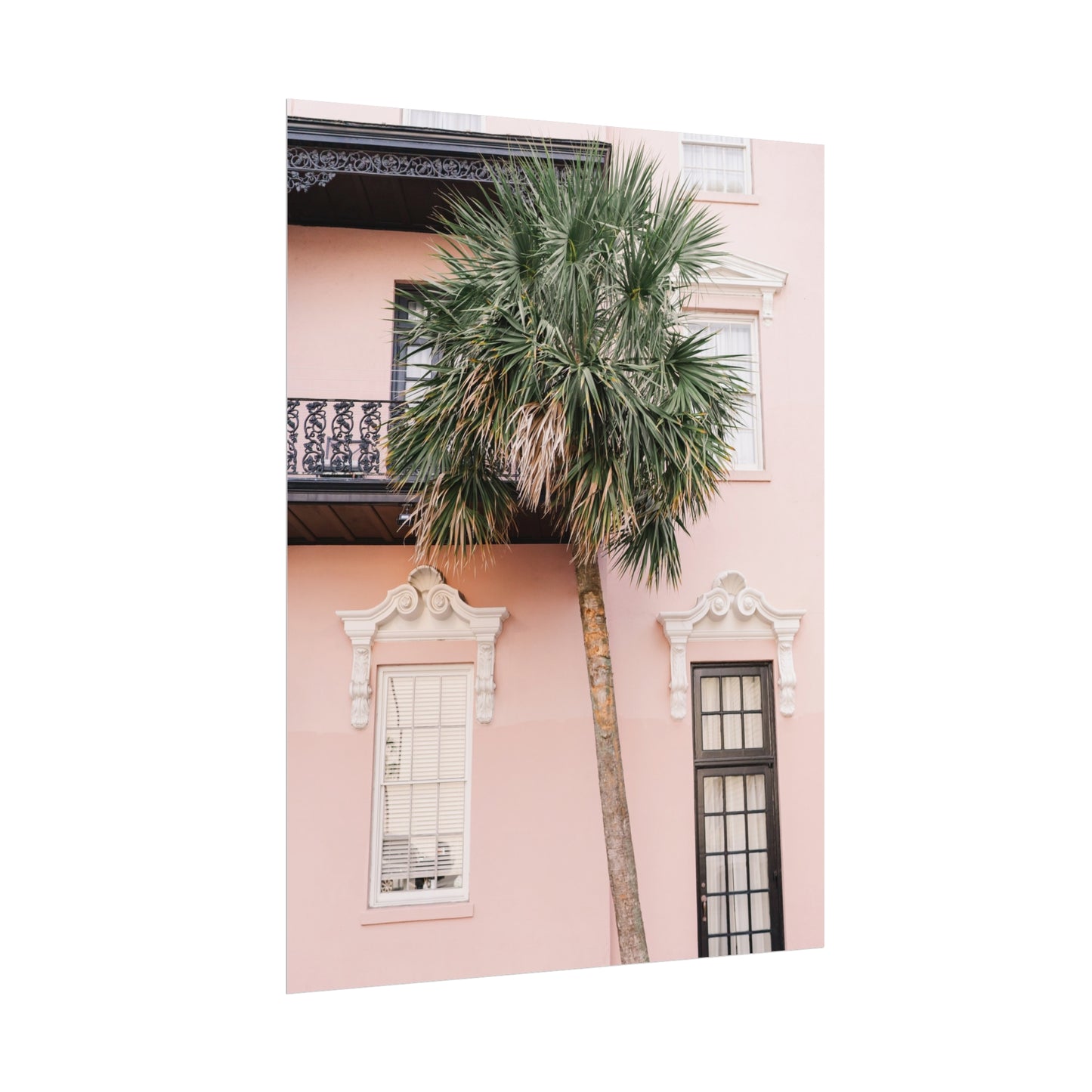 Charleston South Carolina Pink Palmetto - Unframed Print