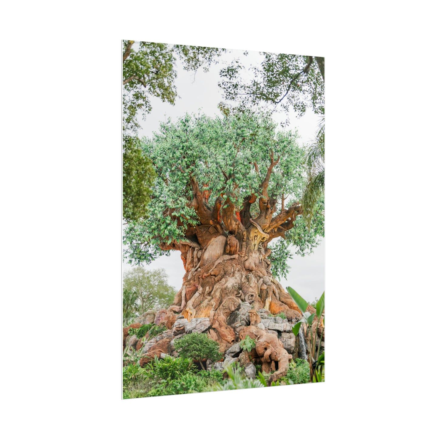 Tree of Life - Unframed Print