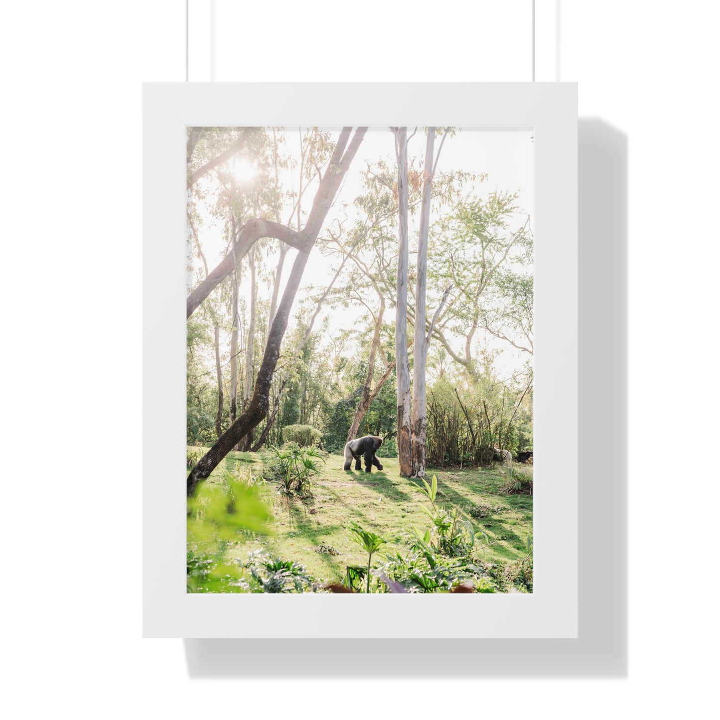 Gorilla at Sunrise - Framed Print