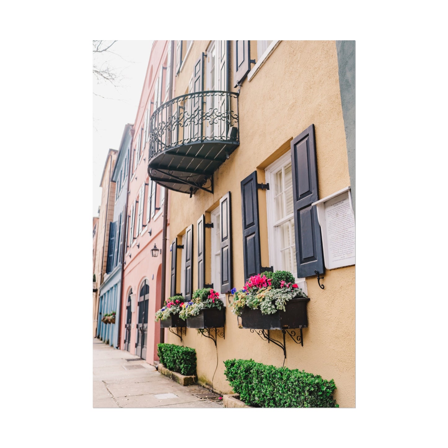 Charleston South Carolina Rainbow Row in Yellow - Unframed Print