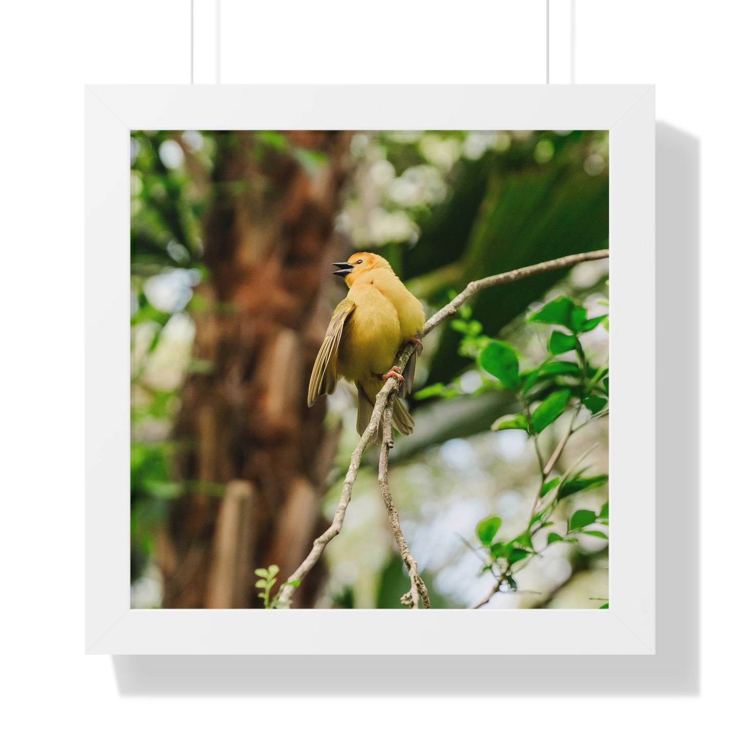 Yellow Bird of Animal Realm - Framed Print