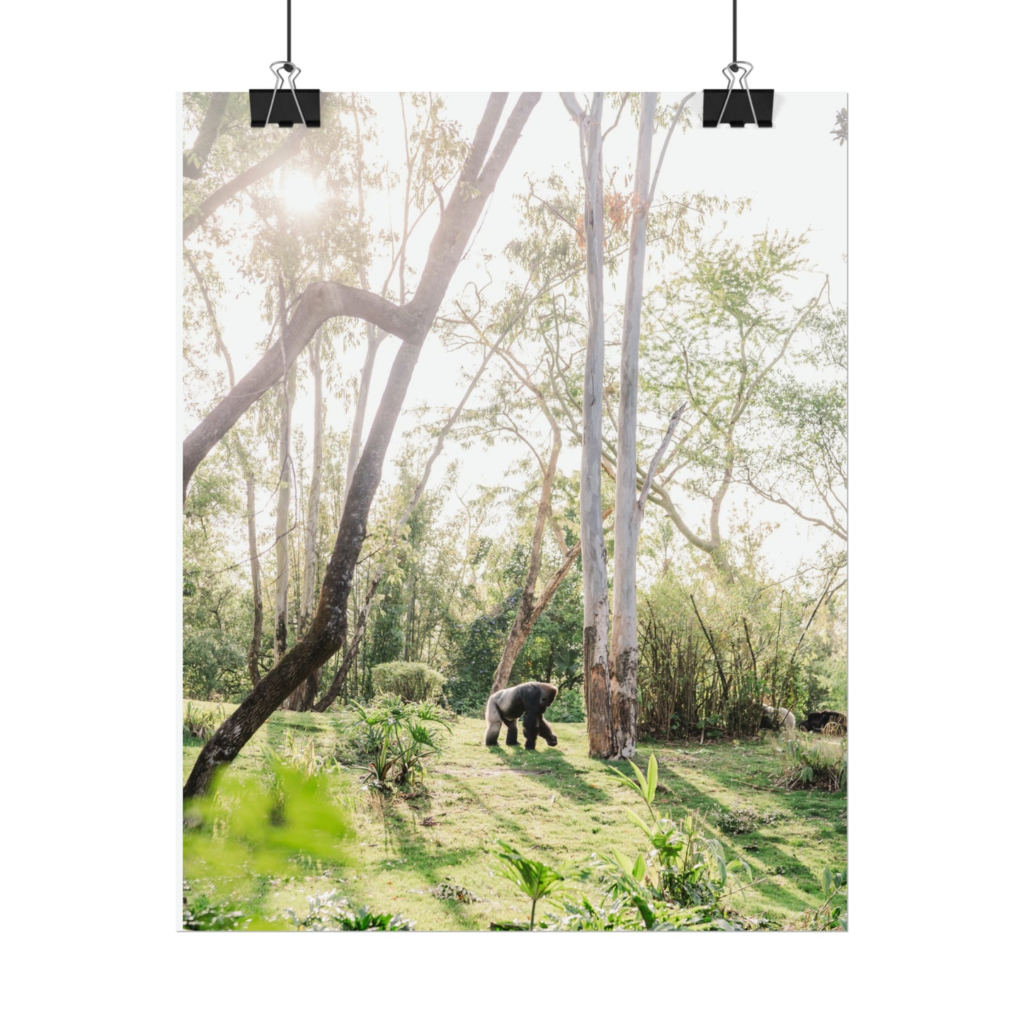 Magical Gorilla - Unframed Print