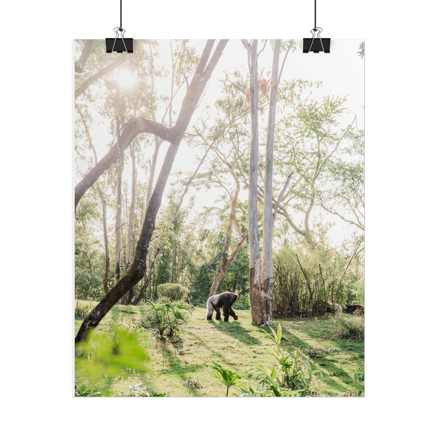 Magical Gorilla - Unframed Print