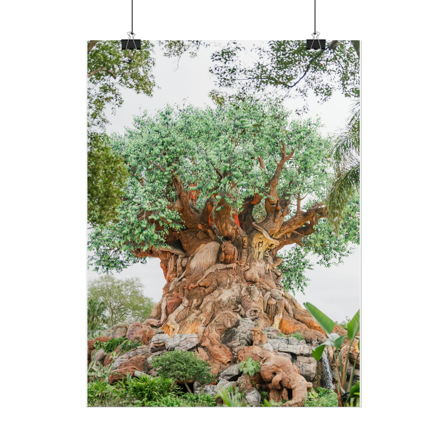 Tree of Life - Unframed Print