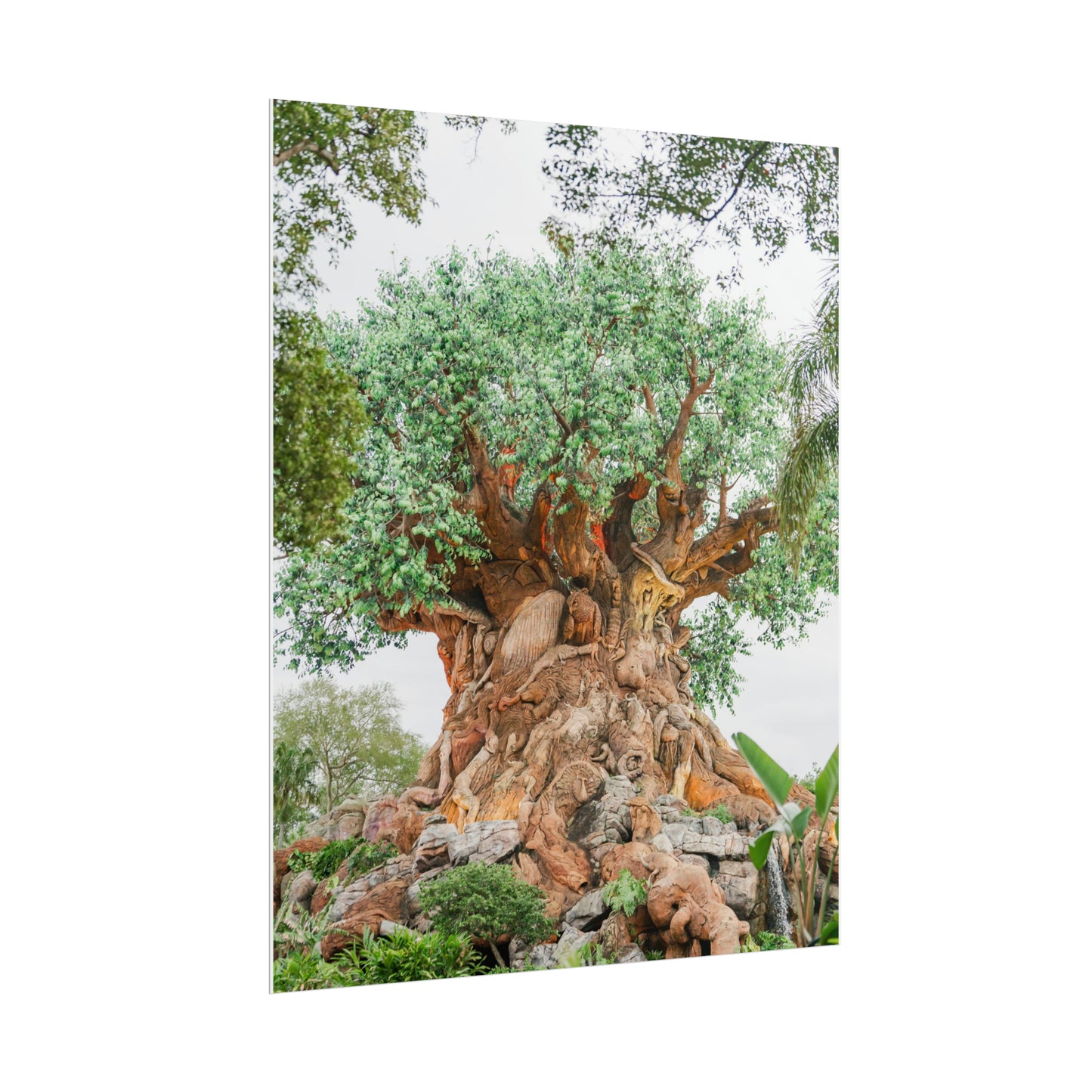 Tree of Life - Unframed Print