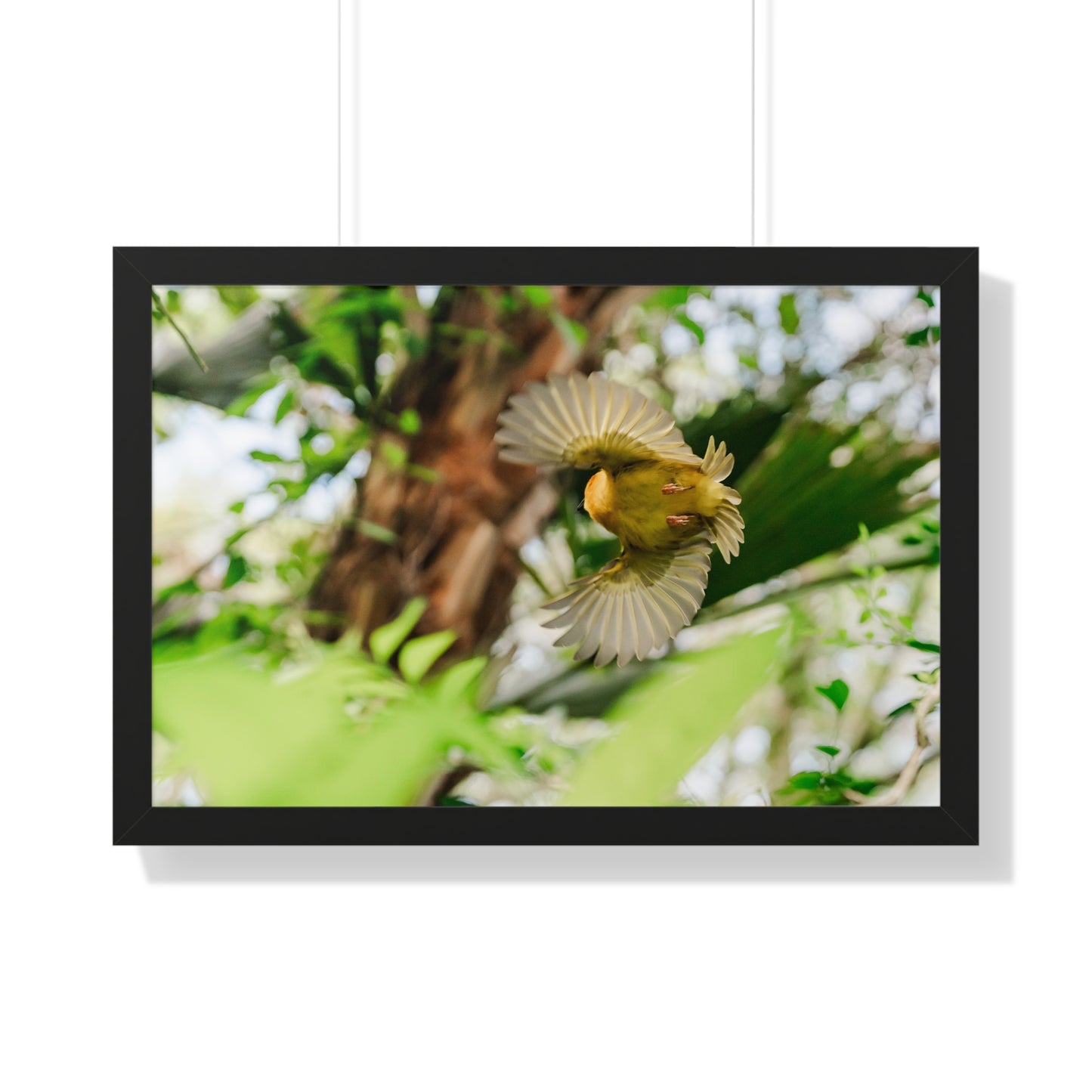 Flight in the Animal Realm - Framed Print