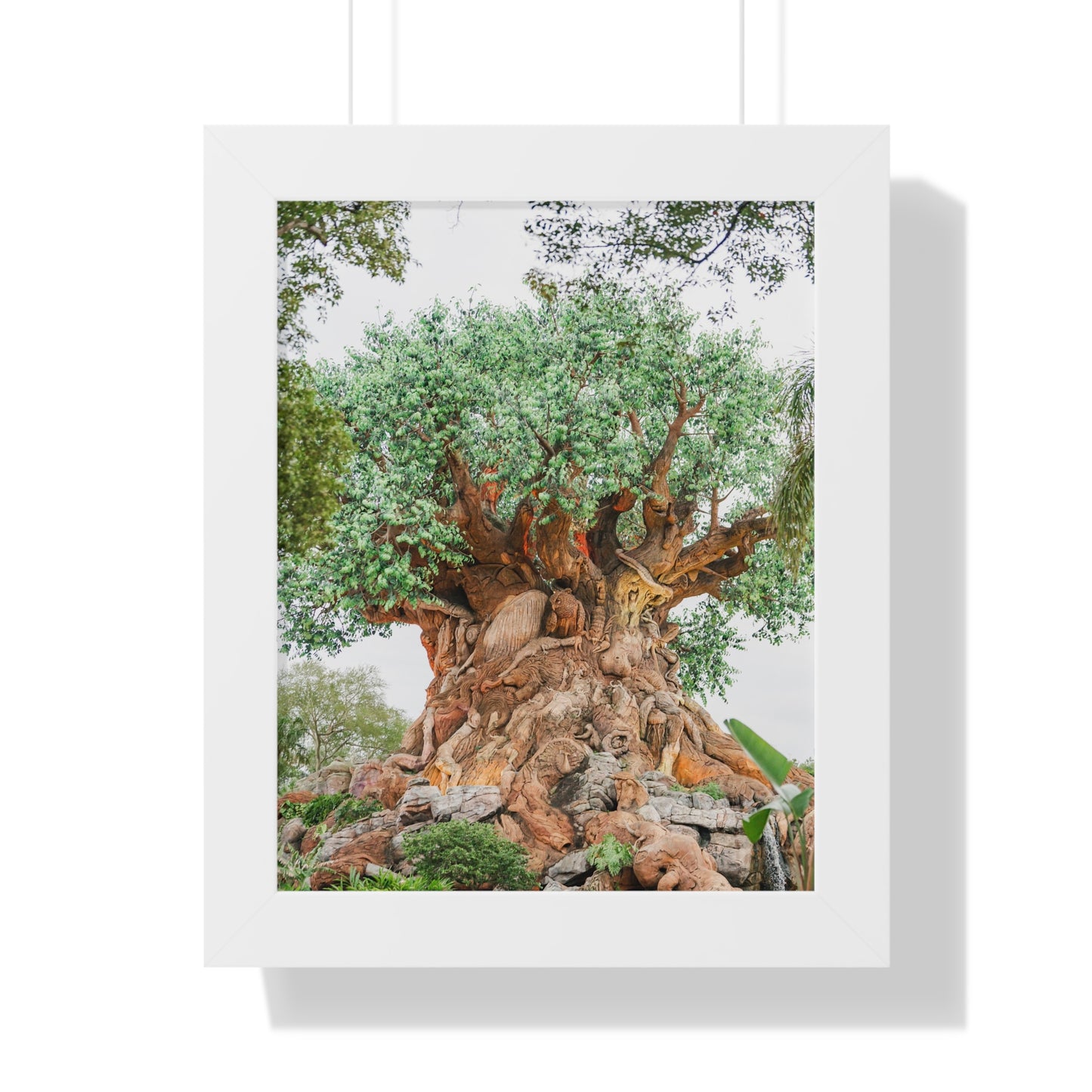 Tree of Life - Framed Print