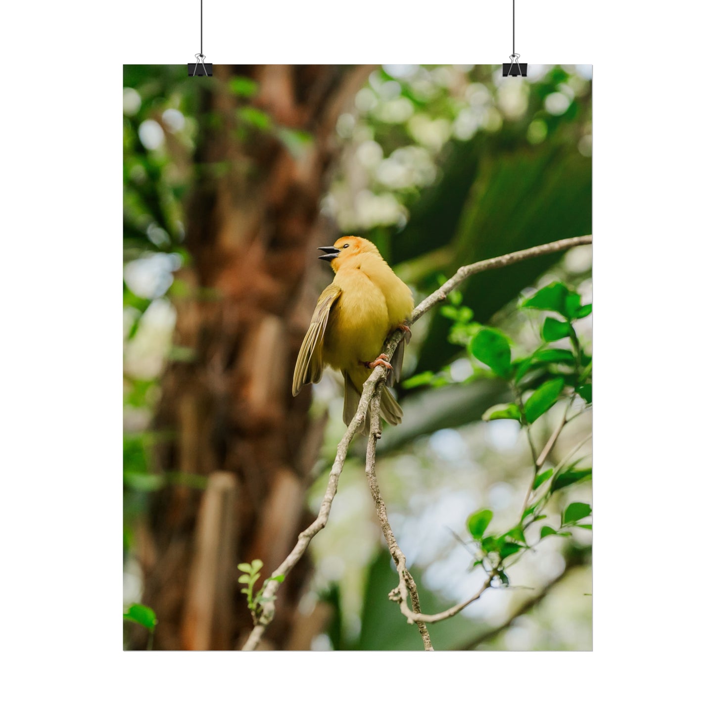 Pretty Serene Yellow - Unframed Print