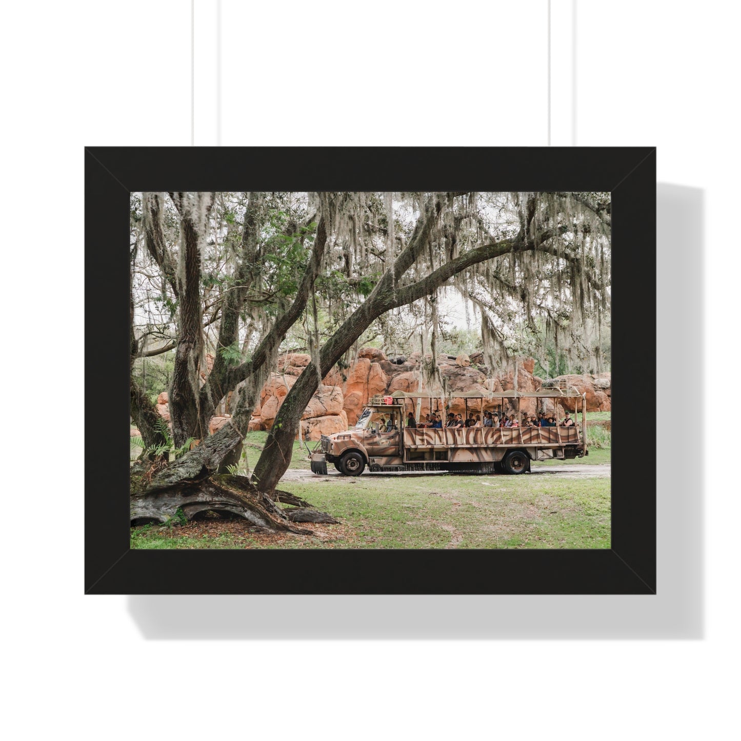 Animal Safari - A Framed Print