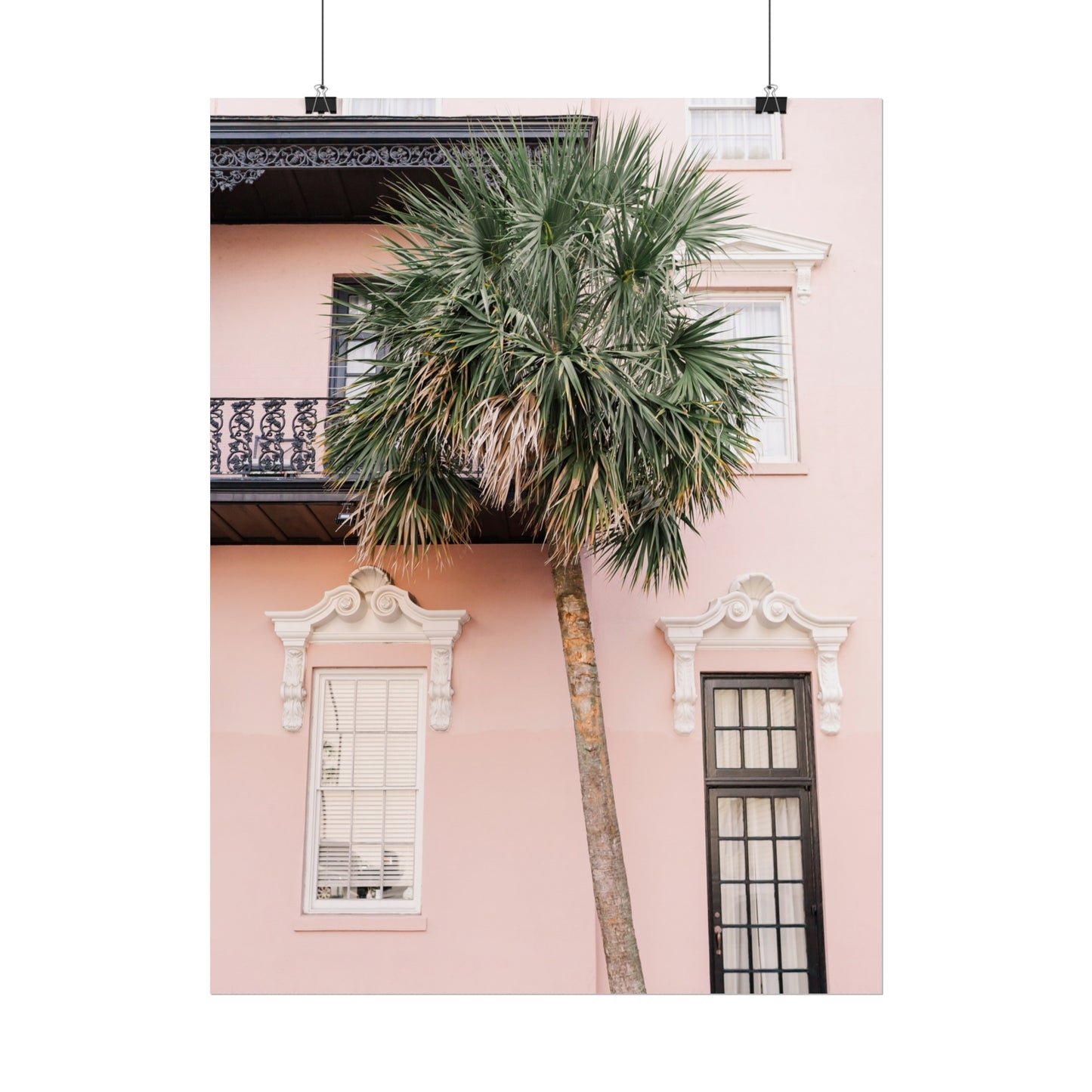 Charleston South Carolina Pink Palmetto - Unframed Print