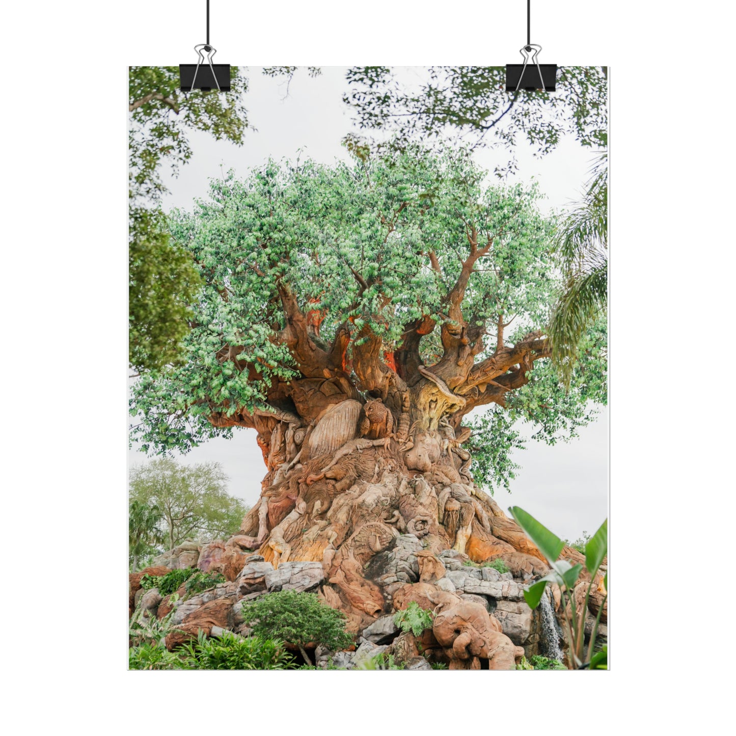 Tree of Life - Unframed Print