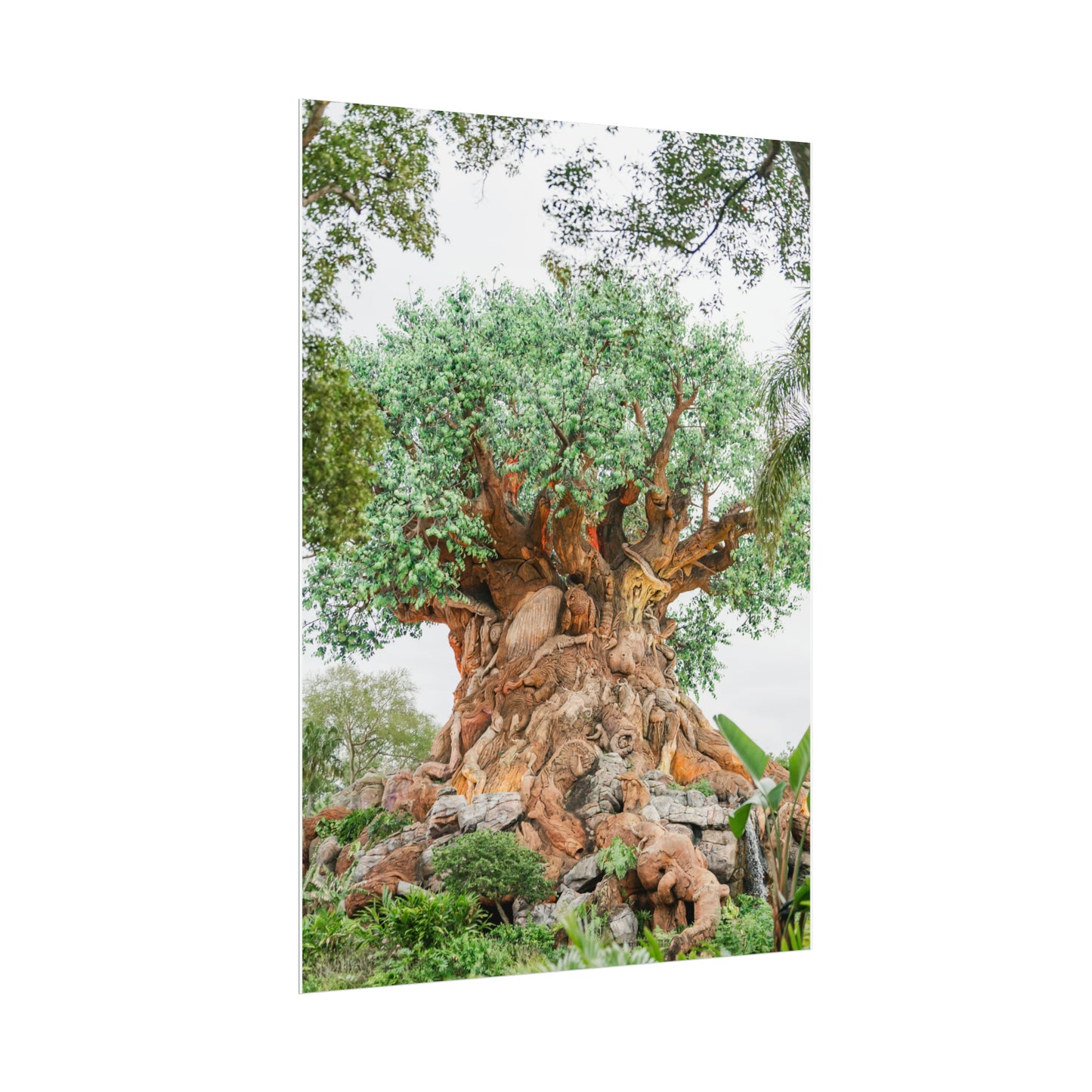 Tree of Life - Unframed Print