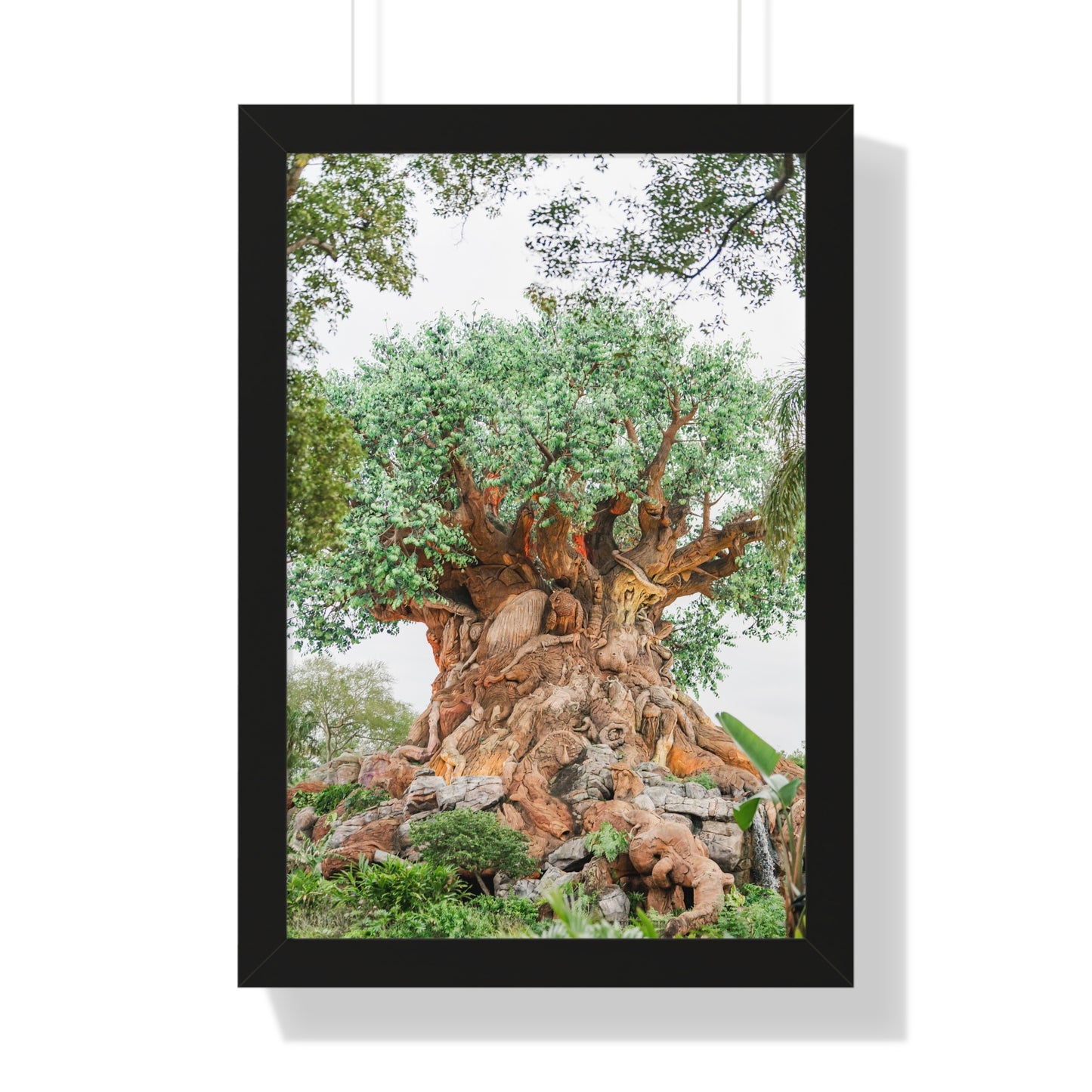 Tree of Life - Framed Print