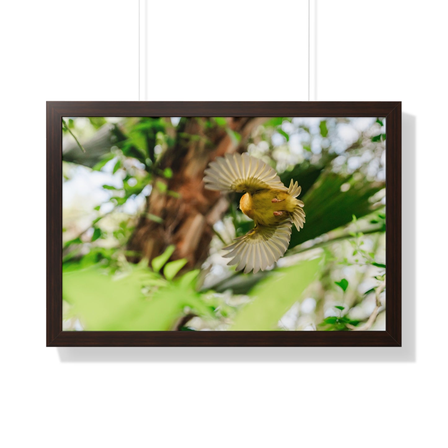 Flight in the Animal Realm - Framed Print