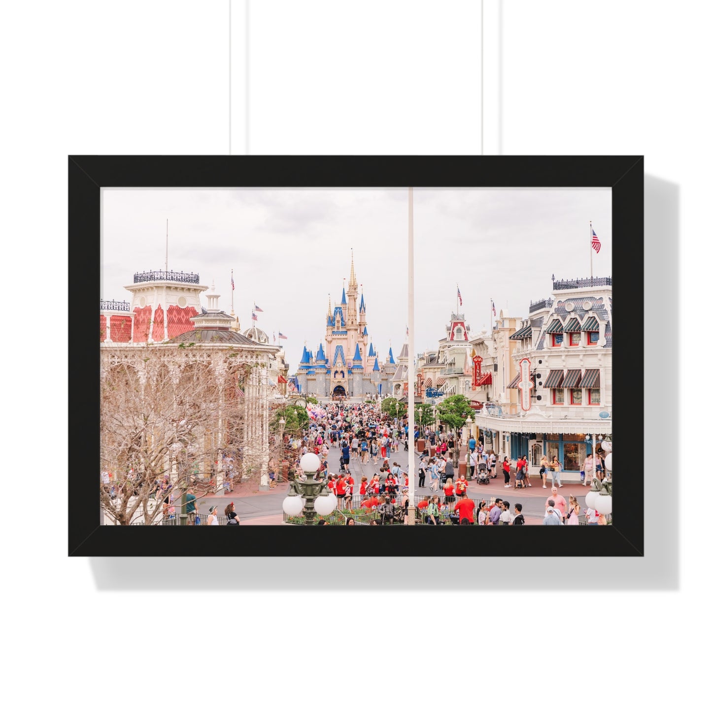 A Realistic Kingdom - Framed Print