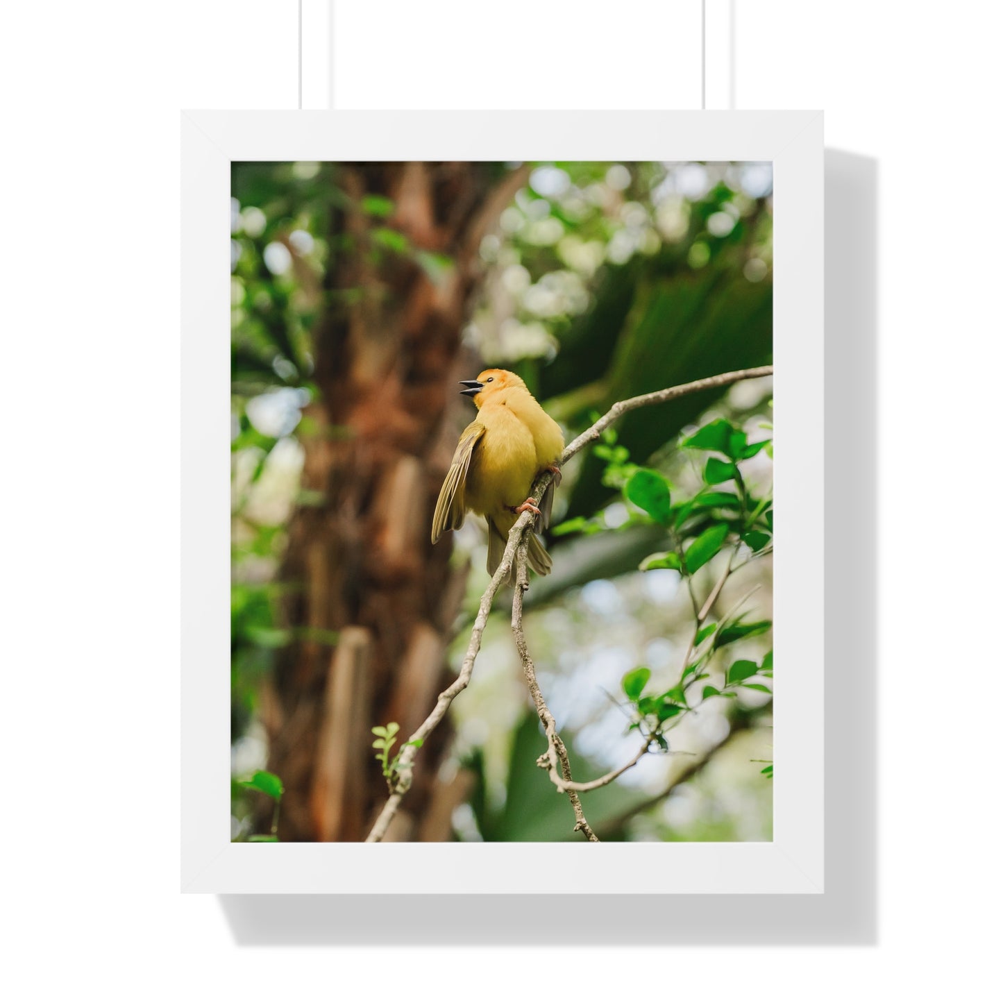 Yellow Bird of Animal Realm - Framed Print