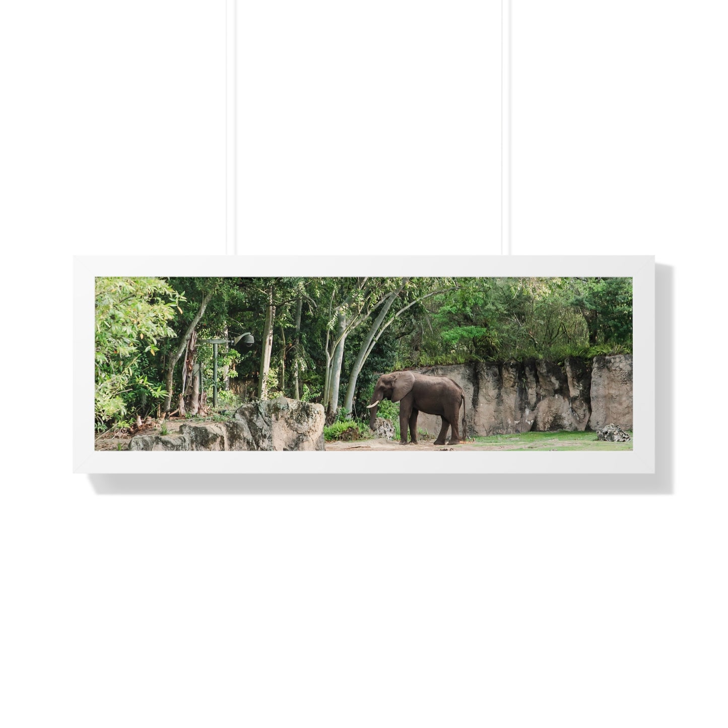 Kingdom Elephant - Framed Print