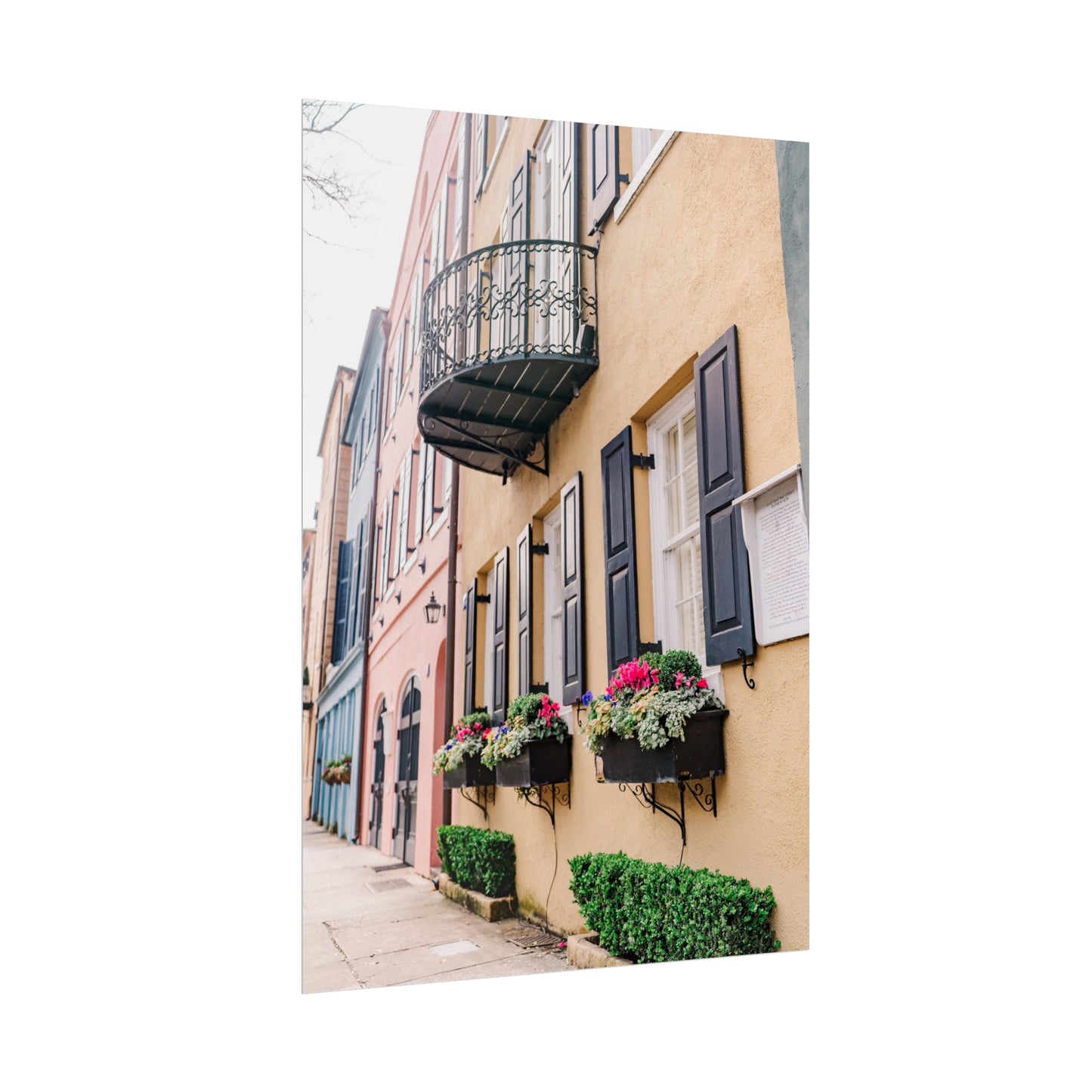 Charleston South Carolina Rainbow Row in Yellow - Unframed Print