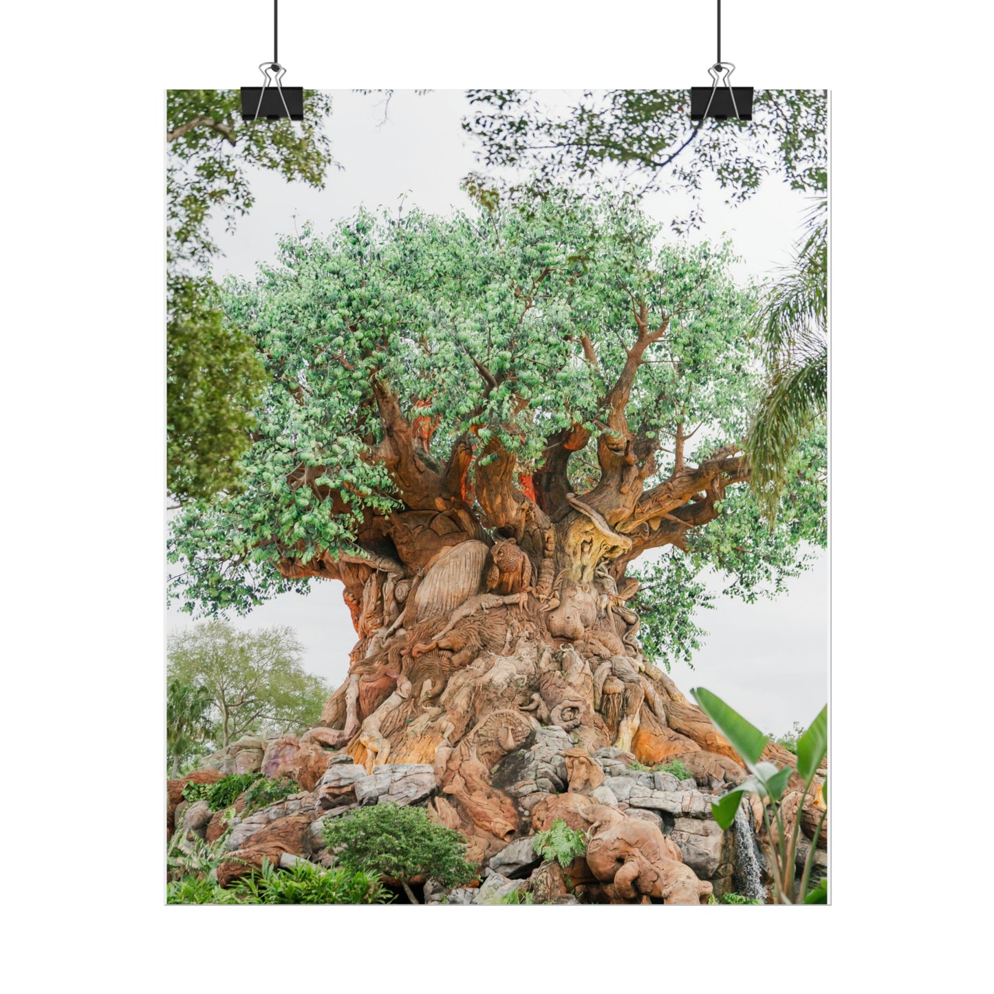 Tree of Life - Unframed Print