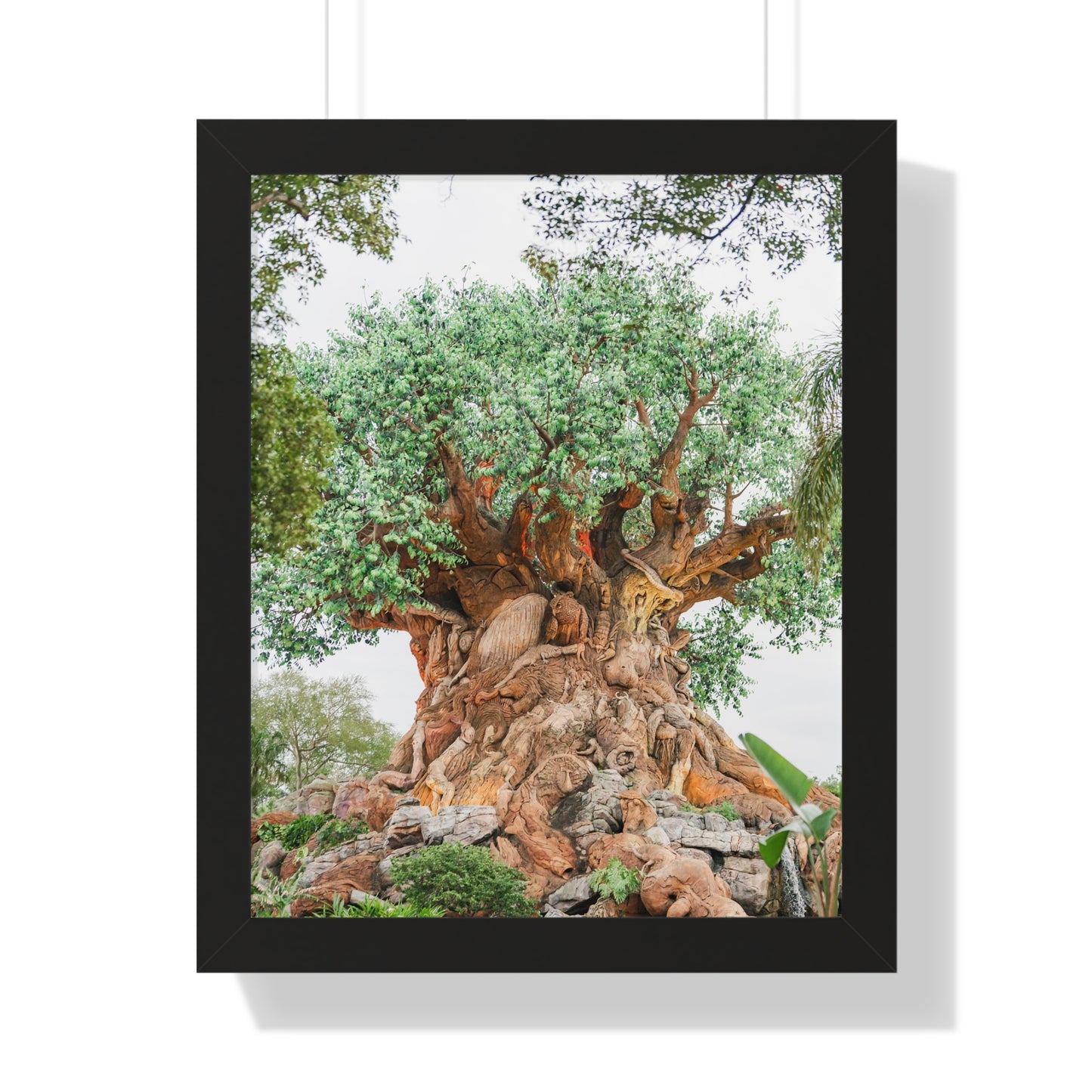 Tree of Life - Framed Print