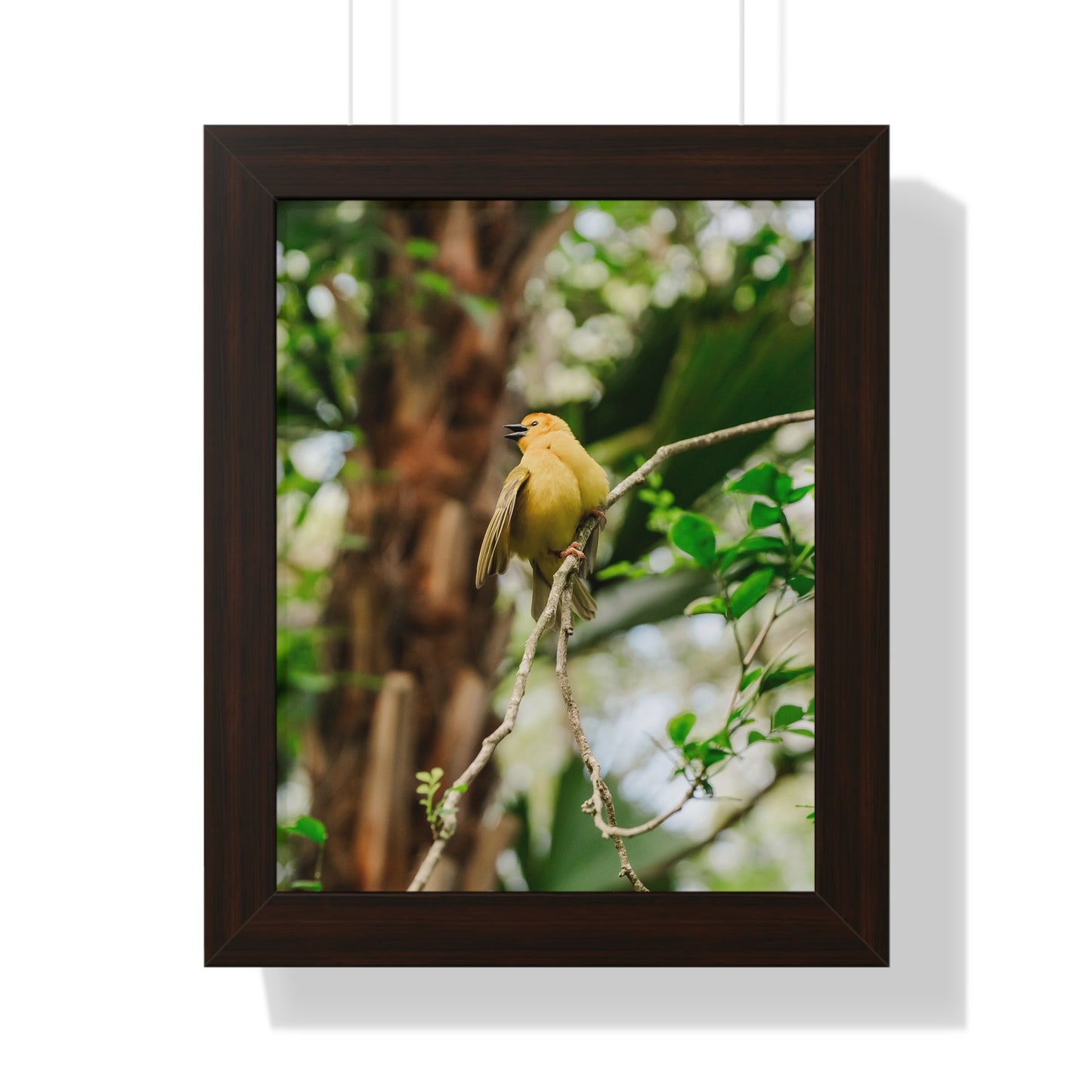 Yellow Bird of Animal Realm - Framed Print