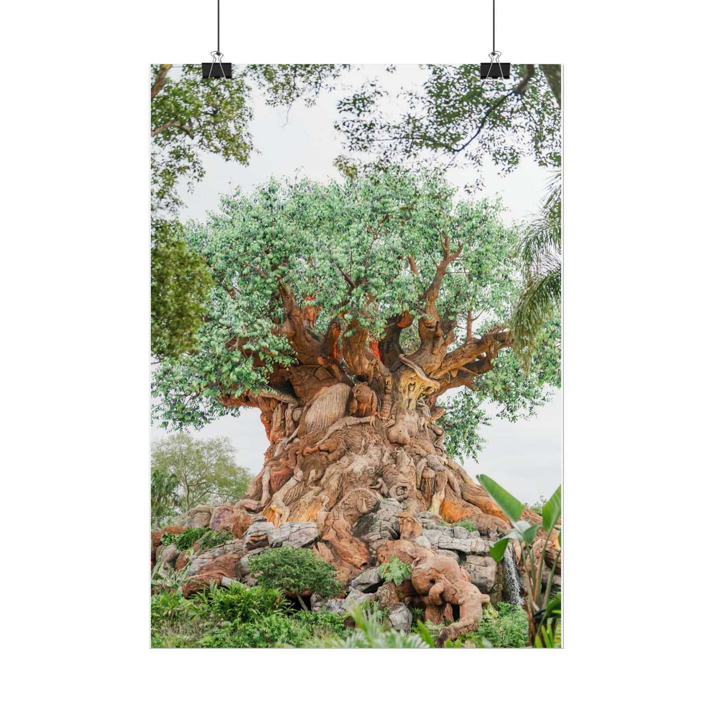 Tree of Life - Unframed Print